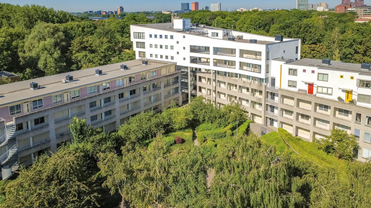 Wageningseberg 378 Photo Blur 23