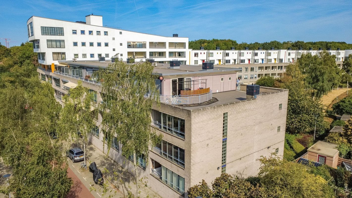 Wageningseberg 378 Photo Blur 0