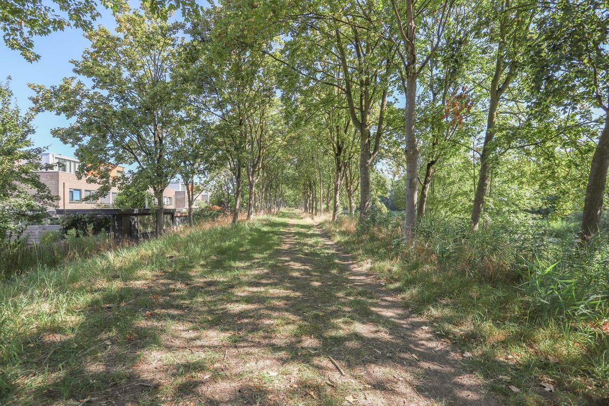 Wageningseberg 364 Photo Blur 37