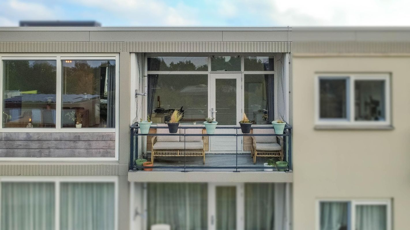 Marco Pololaan 168 Photo Blur 29
