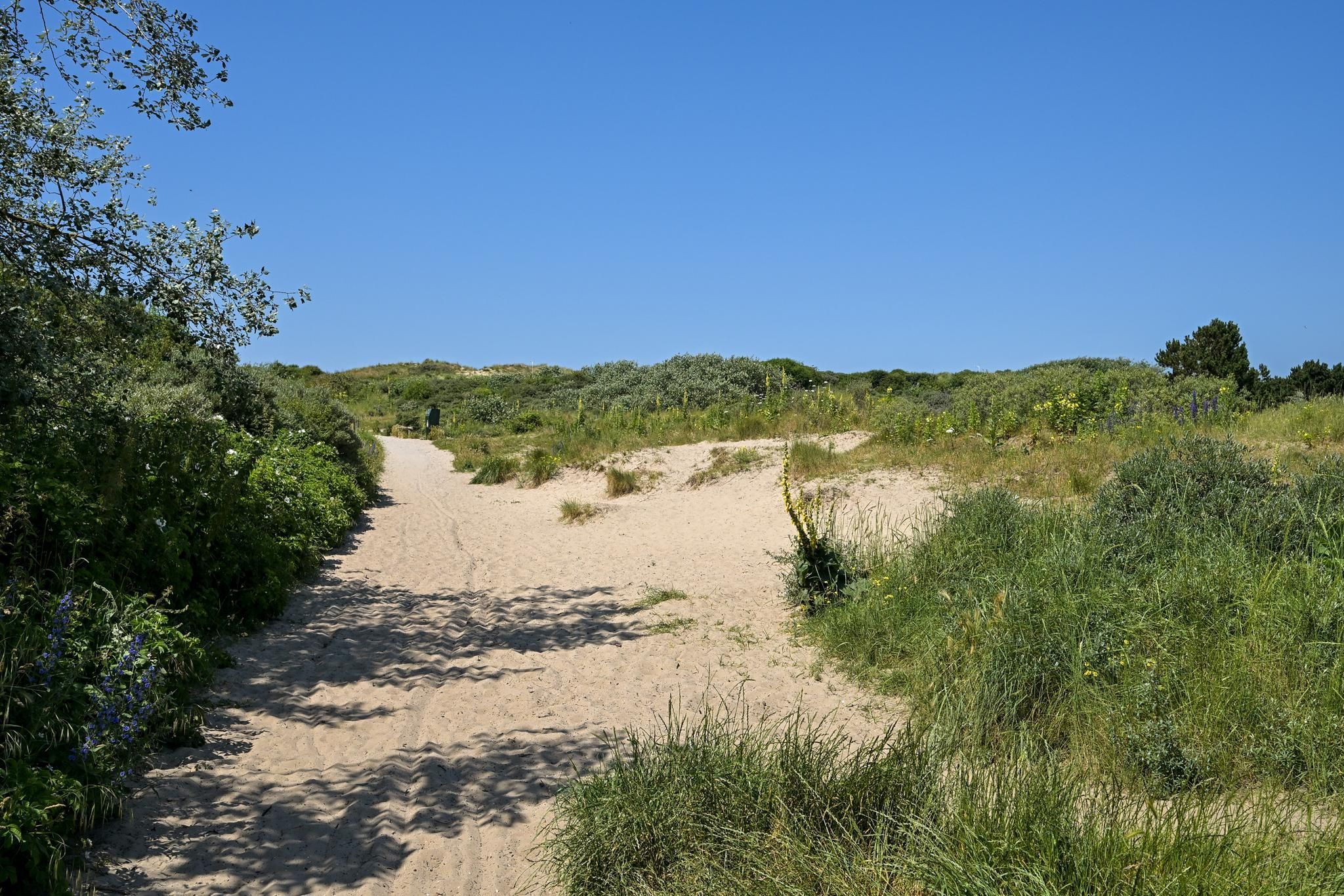 Plesmanweg 569 Photo Blur 52