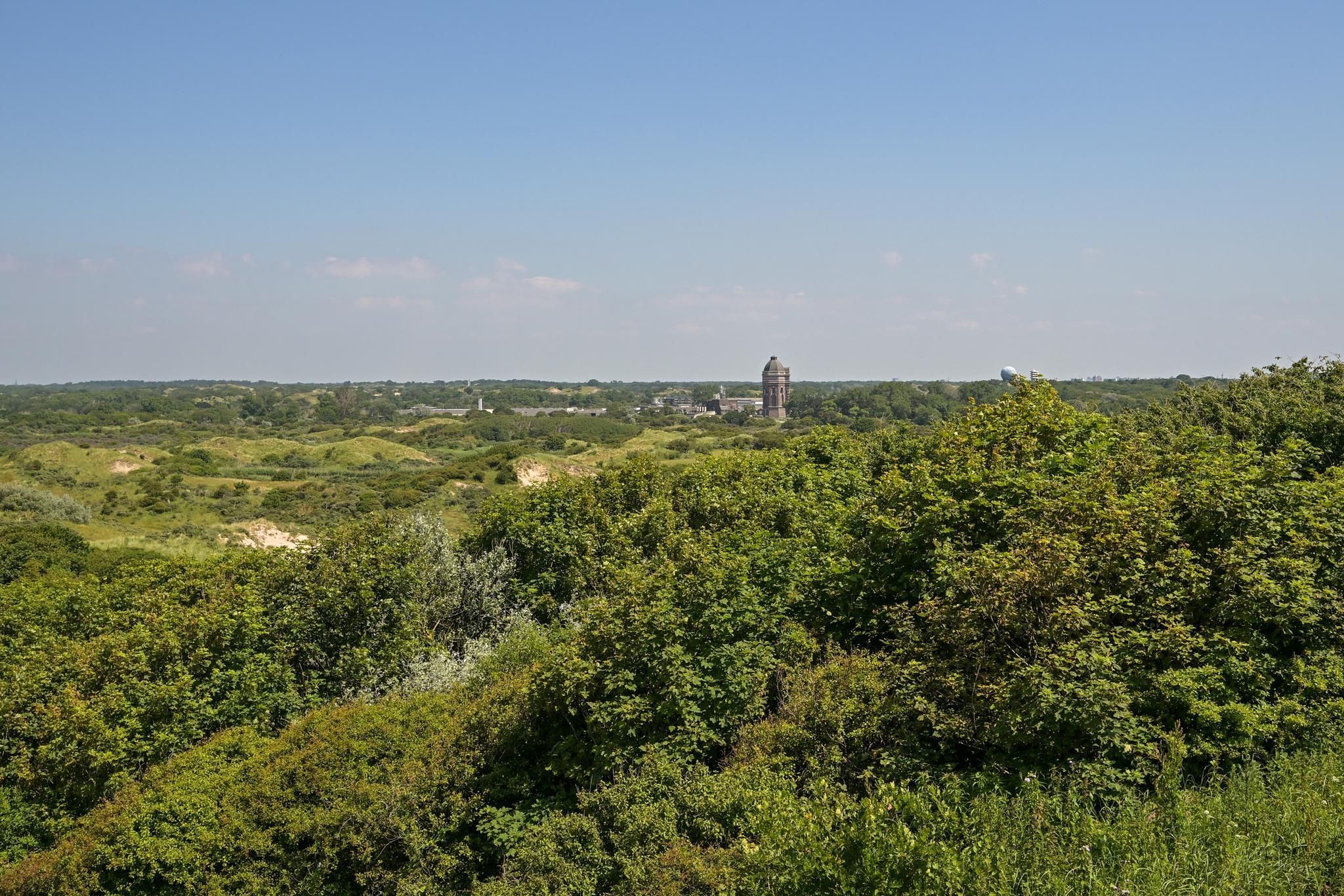 Plesmanweg 569 Photo Blur 51