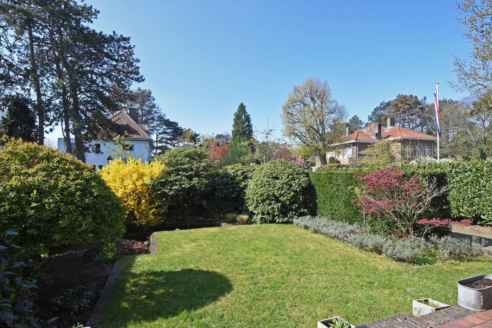 Tapijtweg 9 Photo Blur 19