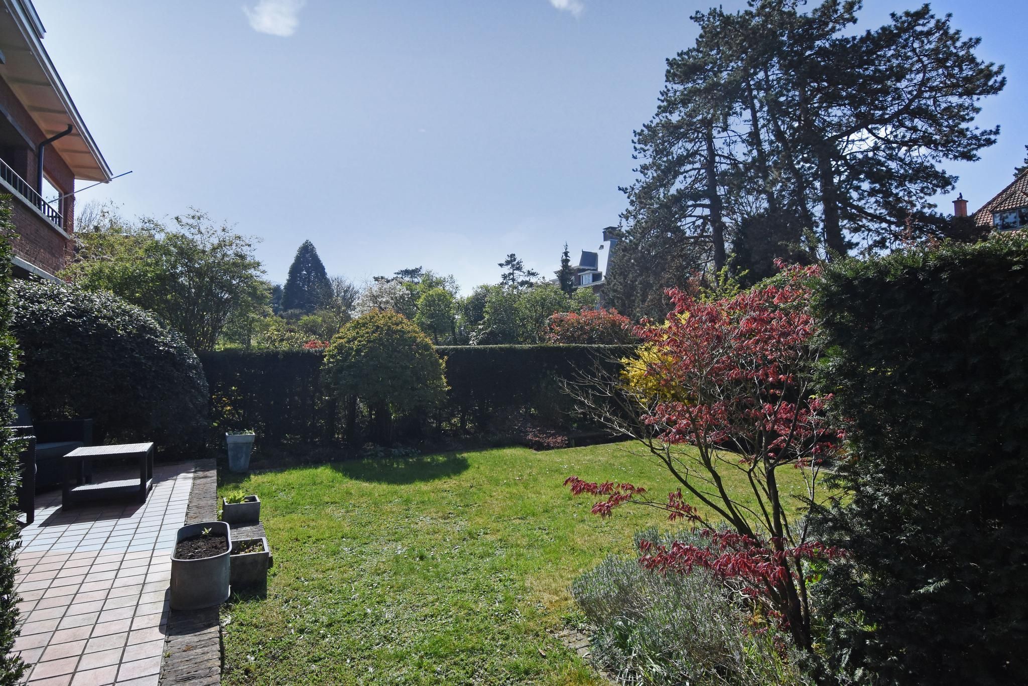 Tapijtweg 9 Photo Blur 22