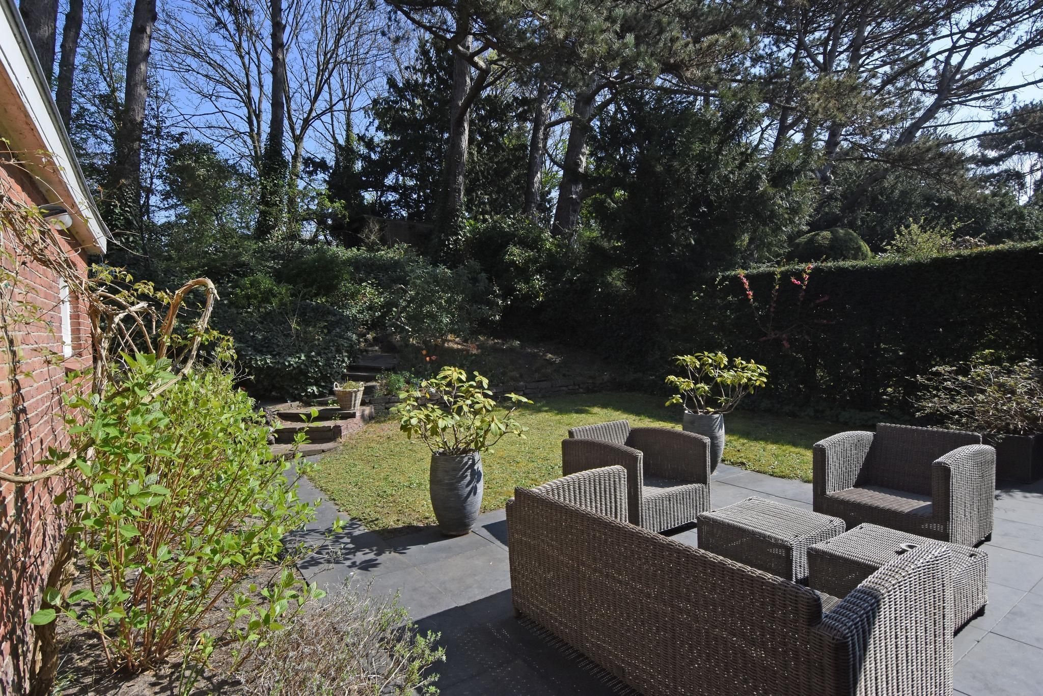 Tapijtweg 9 Photo Blur 35