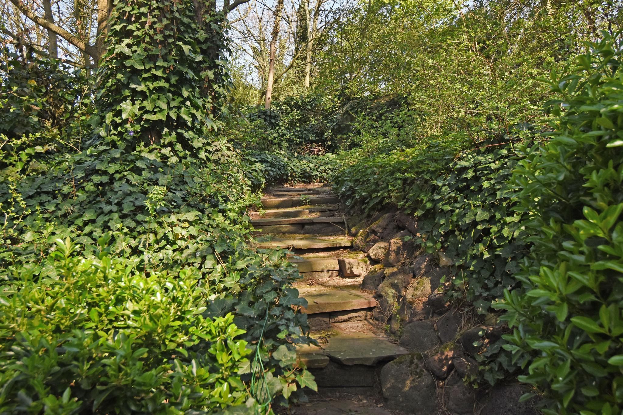 Tapijtweg 9 Photo Blur 38