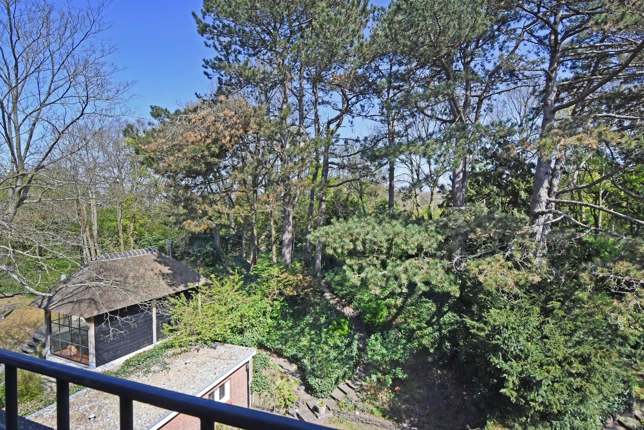 Tapijtweg 9 Photo Blur 61