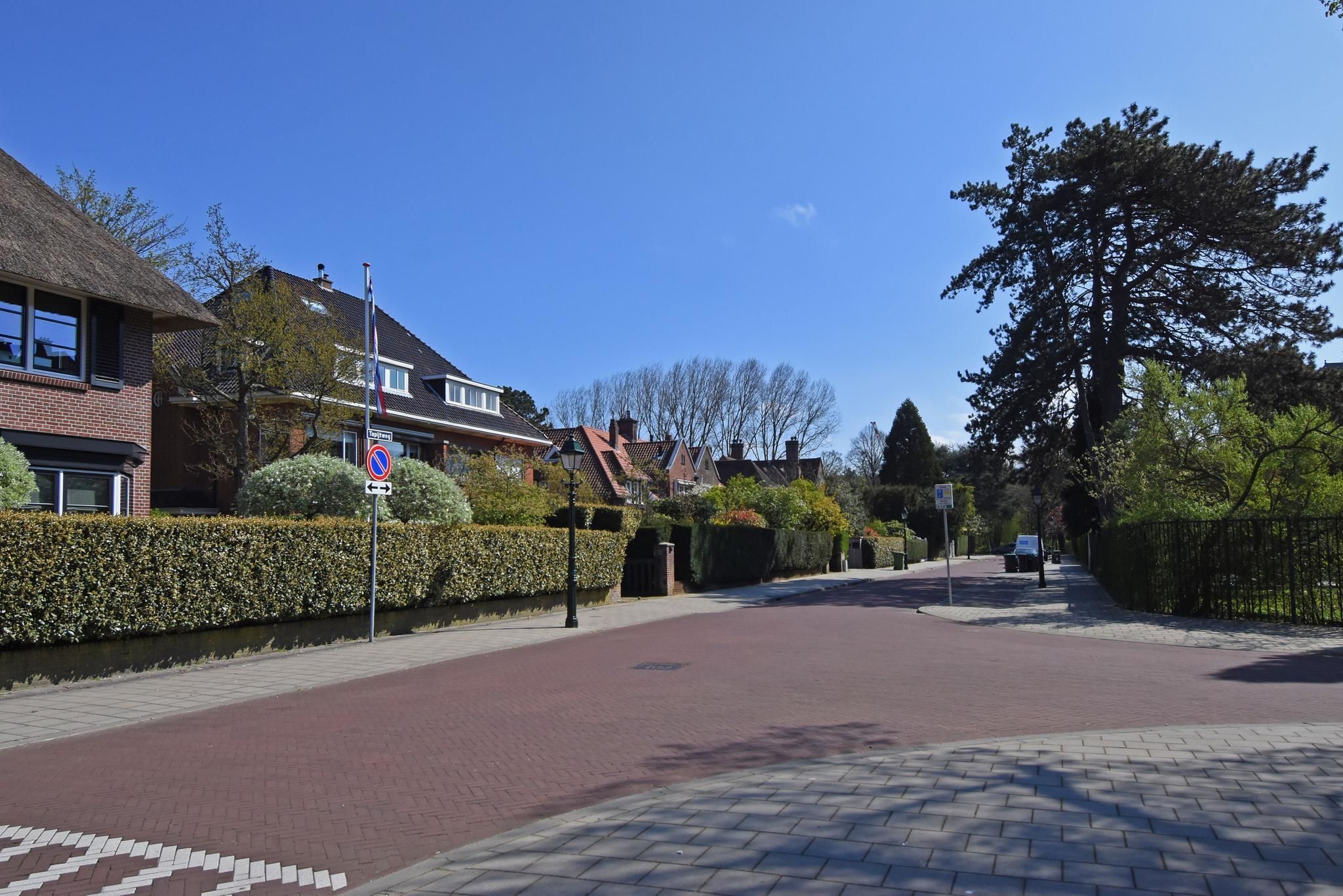 Tapijtweg 9 Photo Blur 83