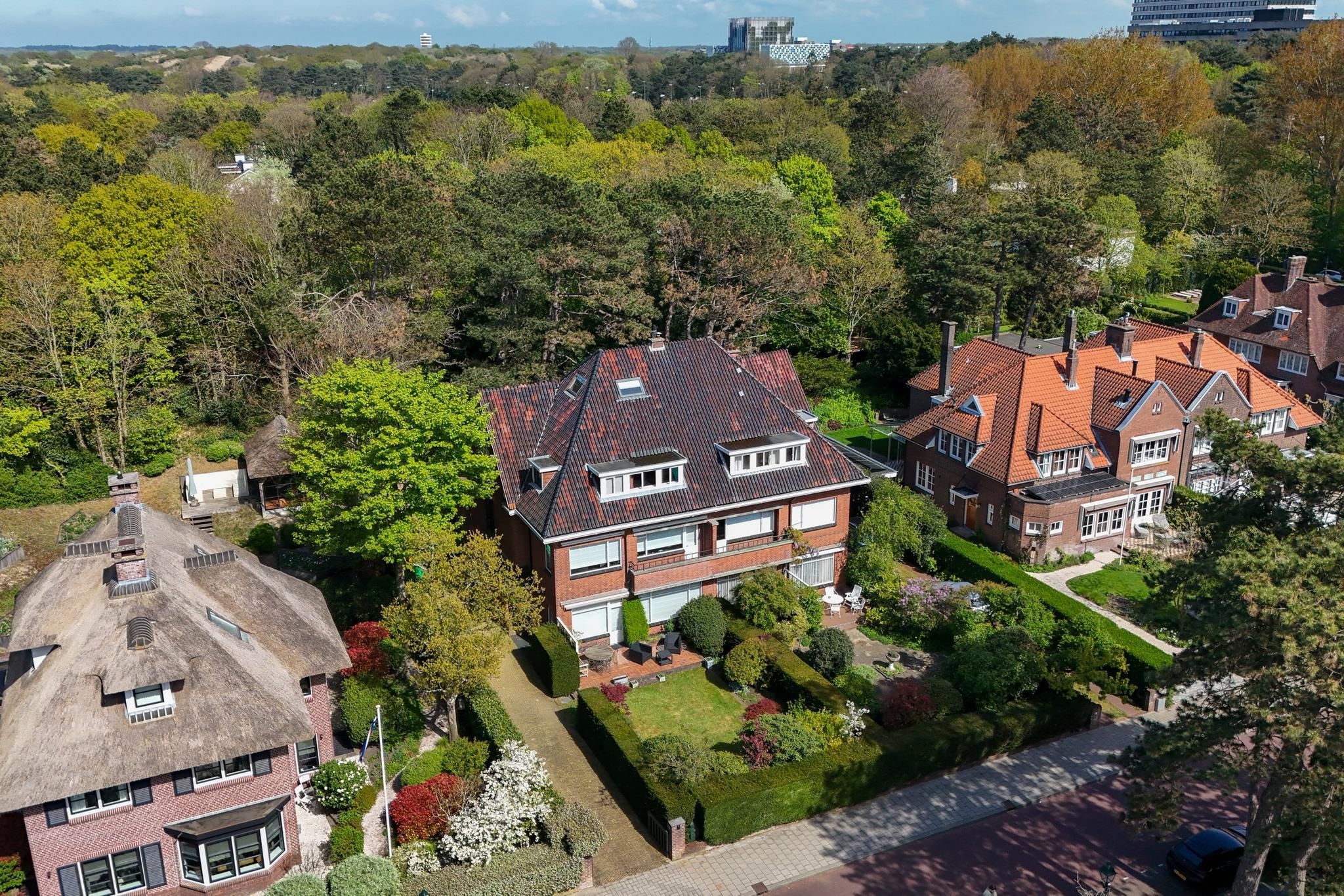 Tapijtweg 9 Photo Blur 85