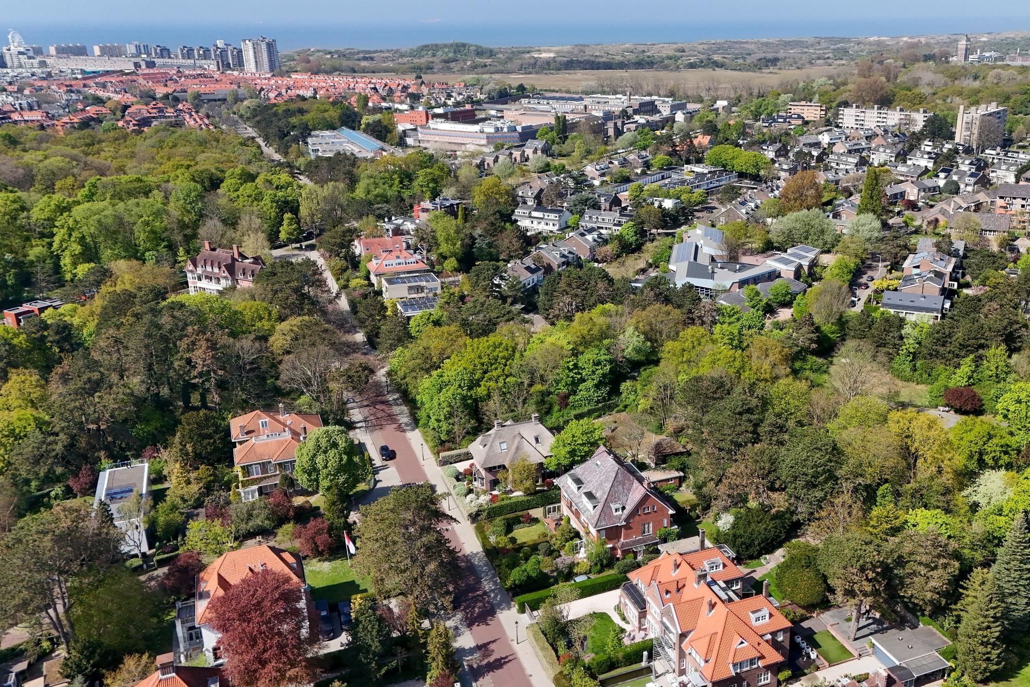 Tapijtweg 9 Photo Blur 86