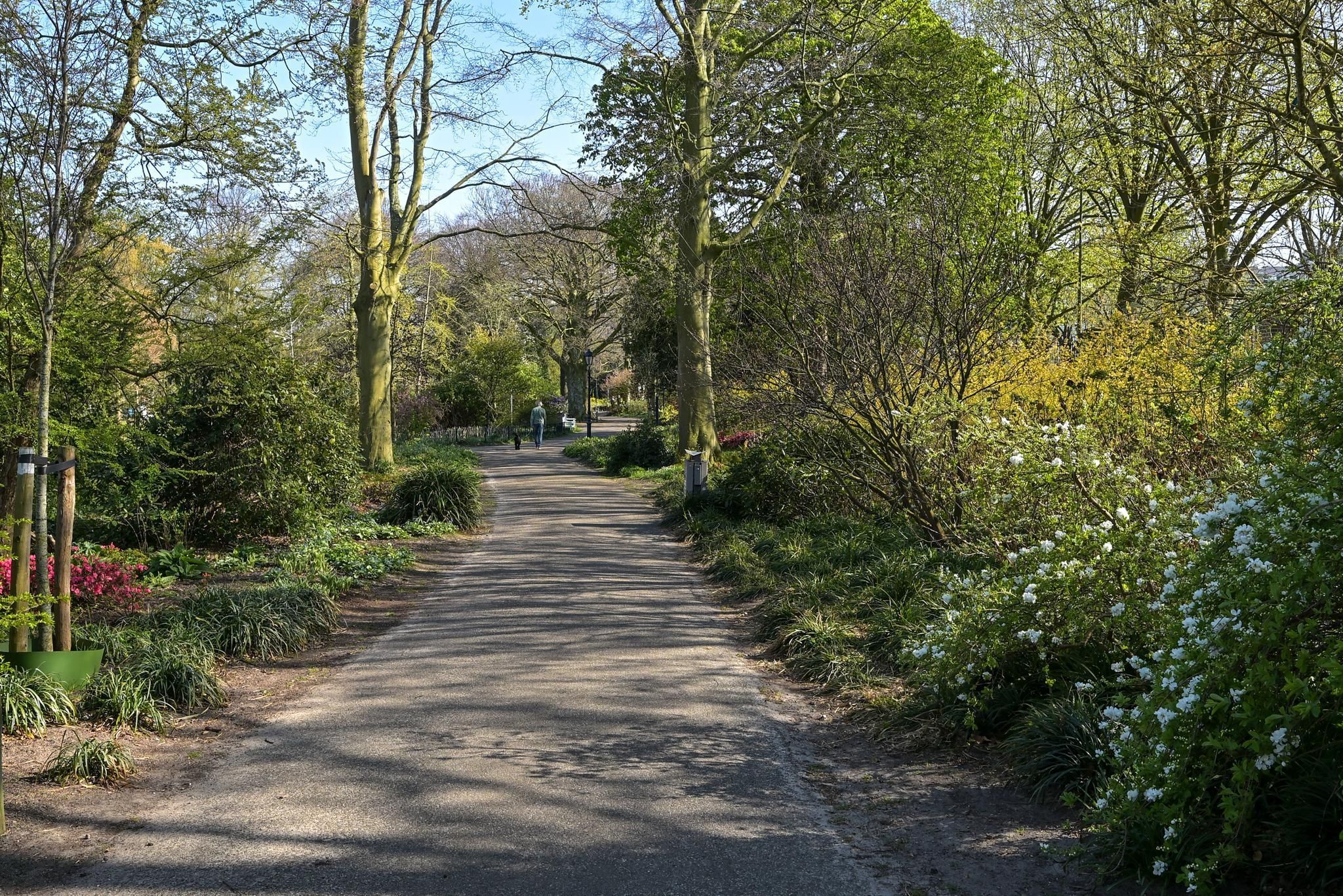 2e De Riemerstraat 156 Photo Blur 58