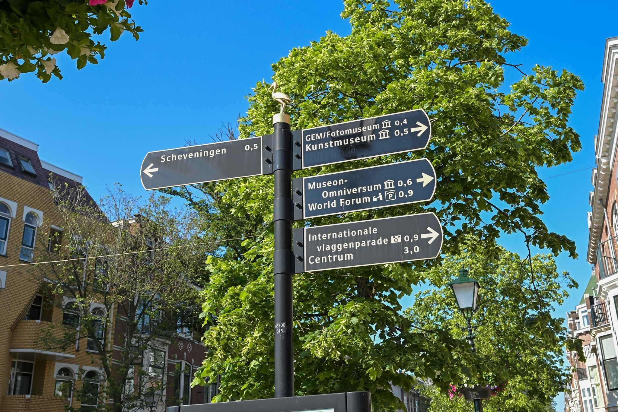 Frankenslag 320 Photo Blur 69