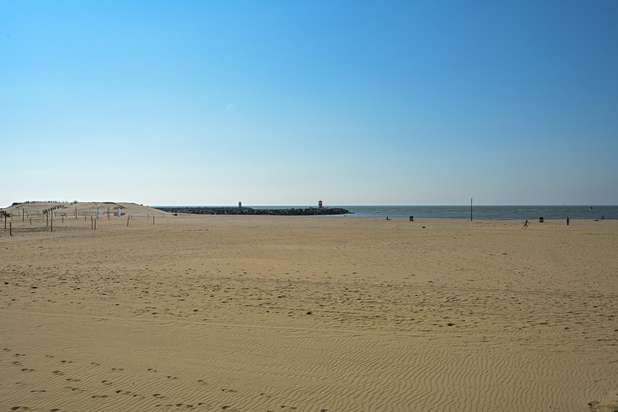 Frankenslag 320 Photo Blur 72