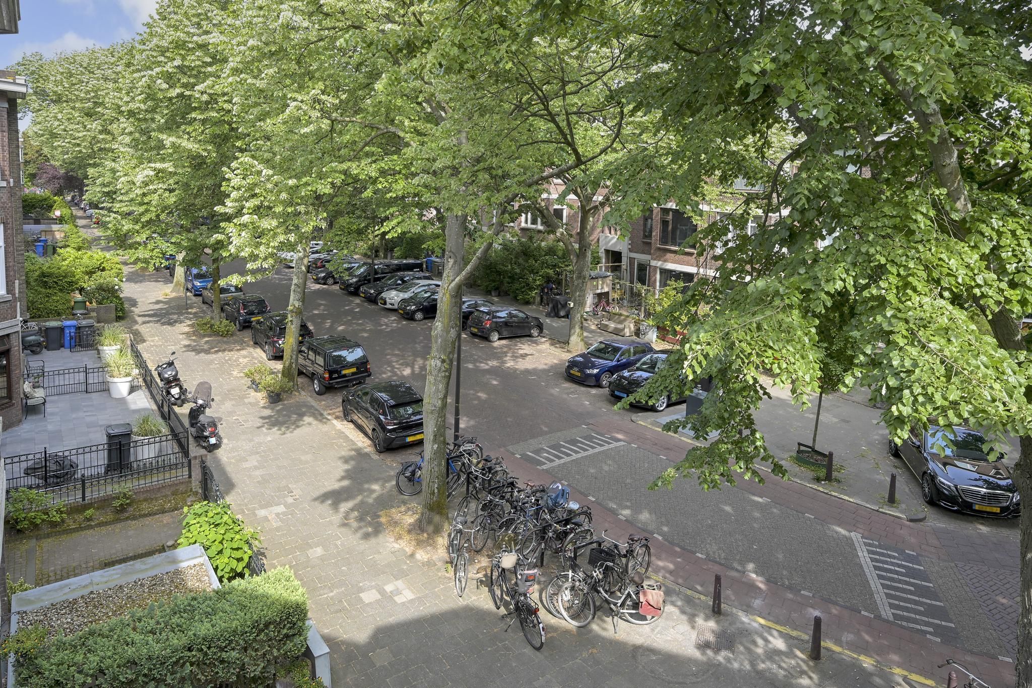 Caan van Necklaan 288 Photo Blur 6