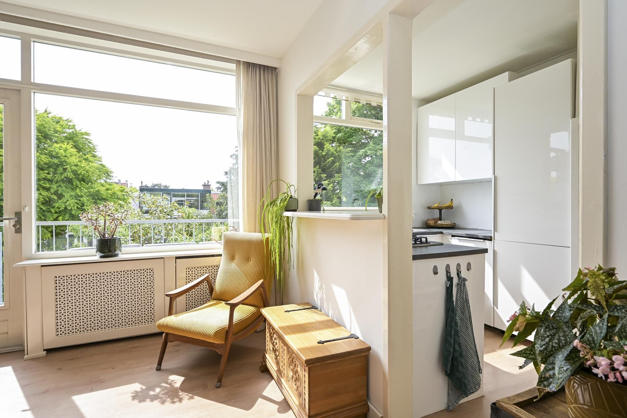 Caan van Necklaan 288 Photo Blur 8