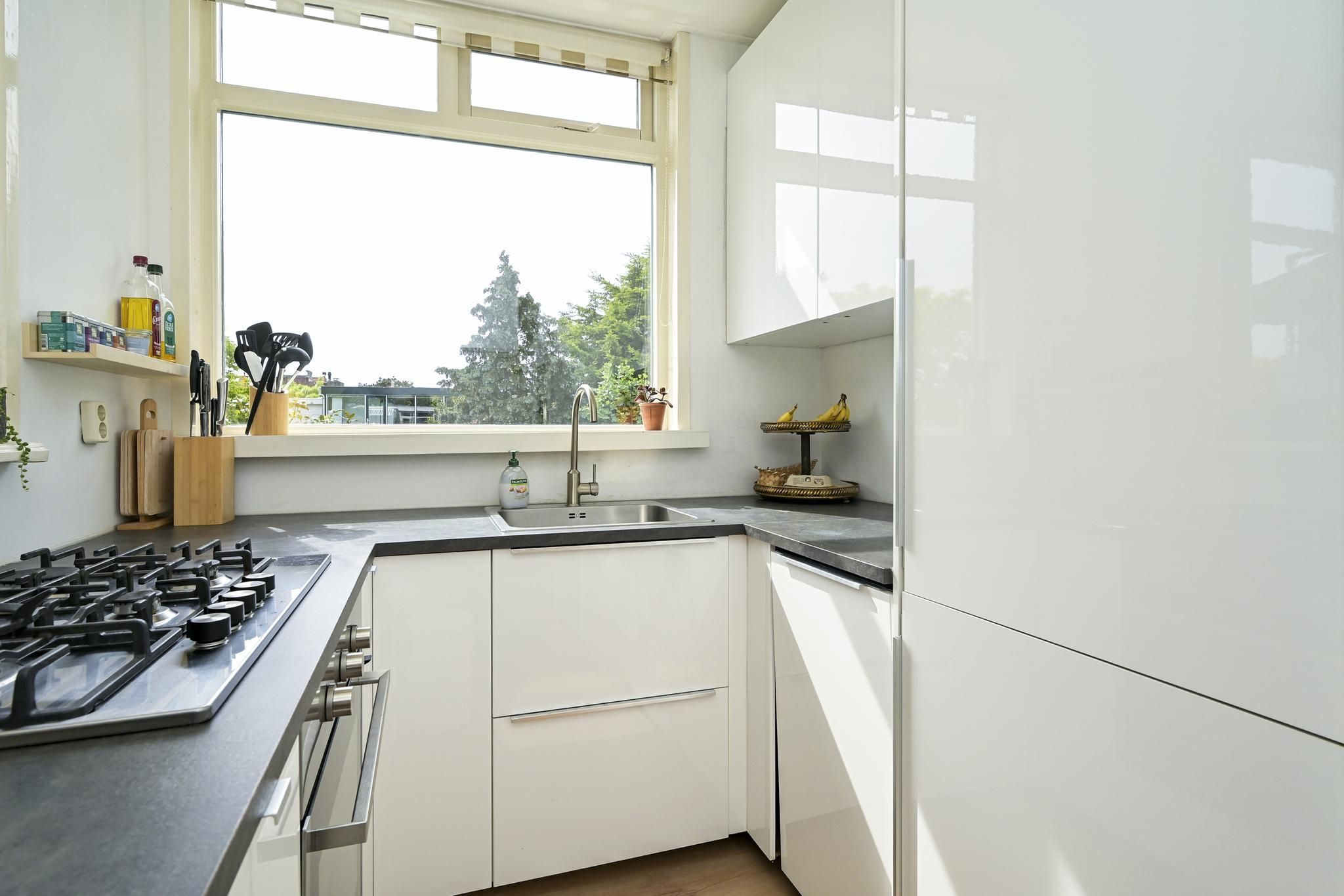 Caan van Necklaan 288 Photo Blur 10