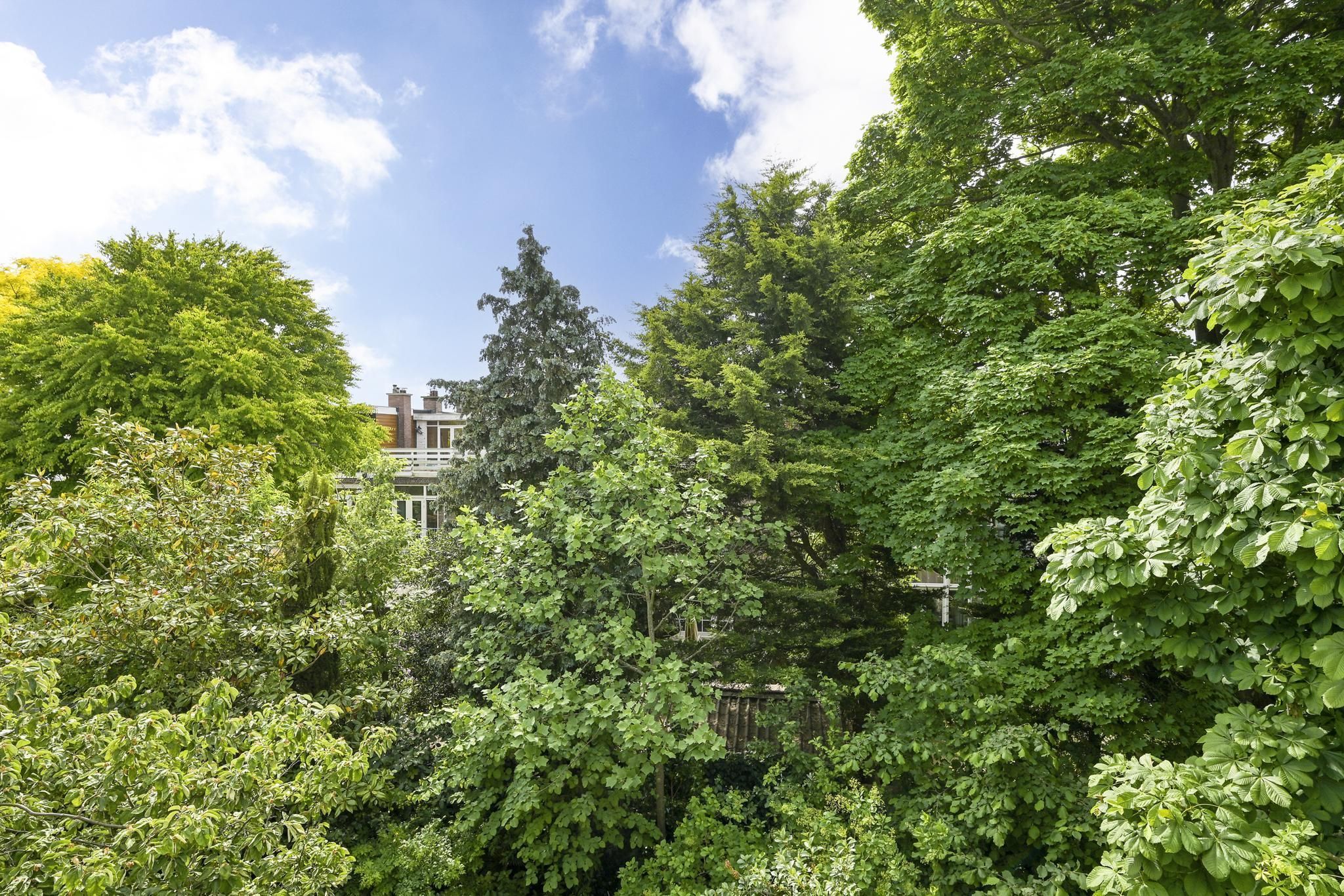 Caan van Necklaan 288 Photo Blur 16