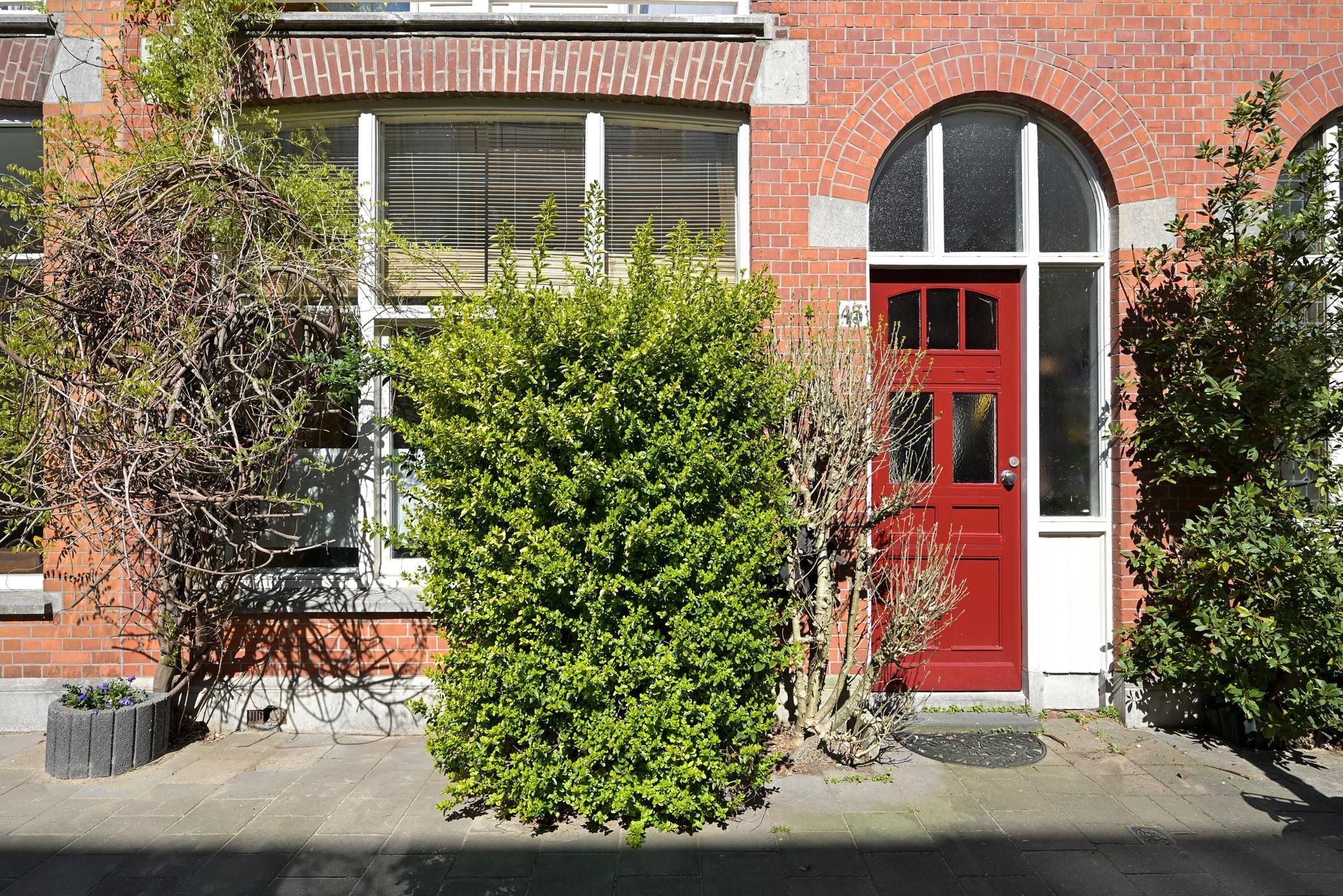 Buijs Ballotstraat 45 Photo Blur 2