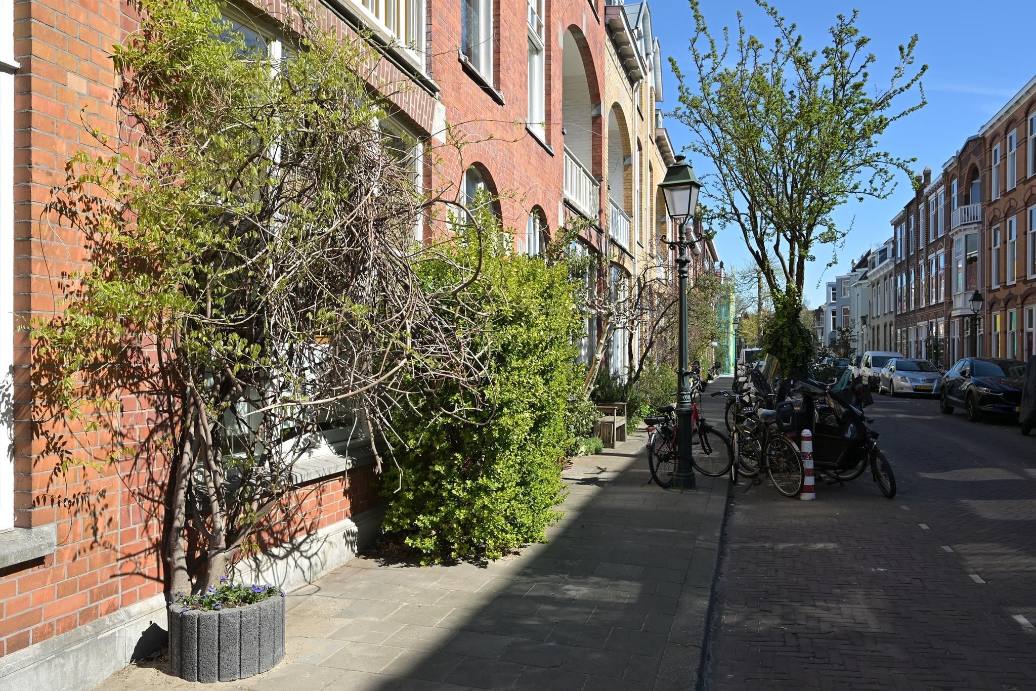 Buijs Ballotstraat 45 Photo Blur 45