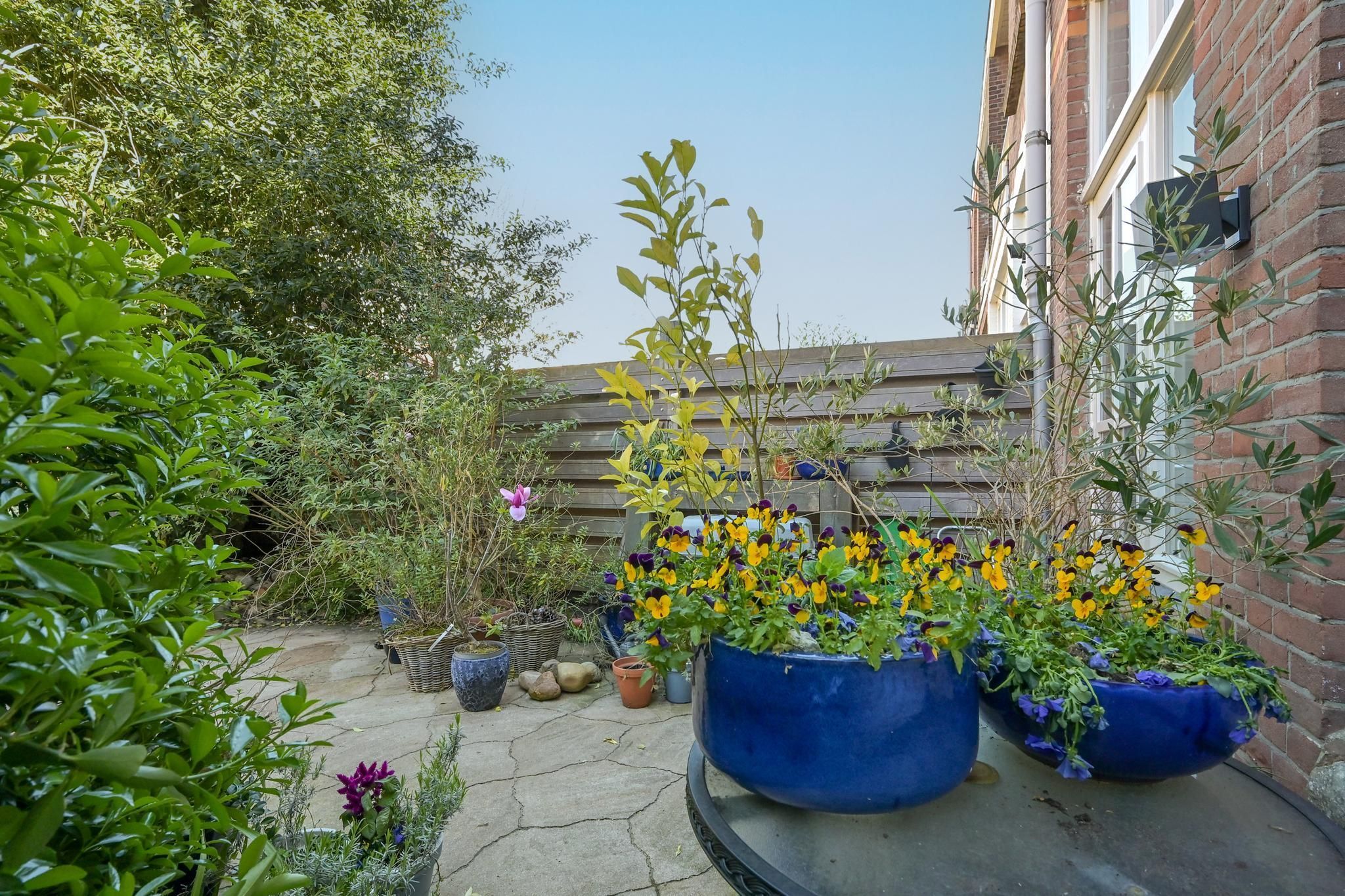 Buijs Ballotstraat 45 Photo Blur 16