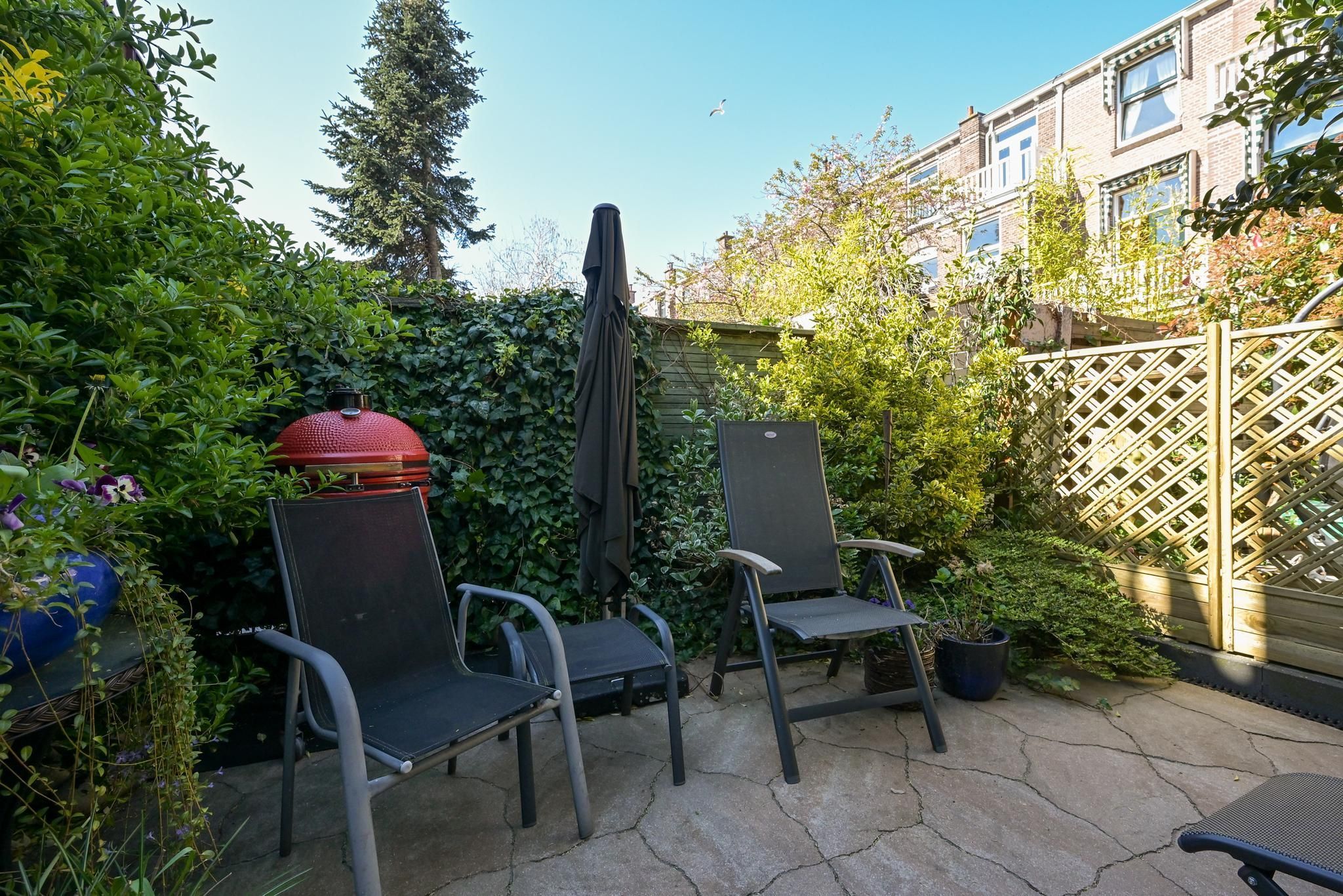 Buijs Ballotstraat 45 Photo Blur 19