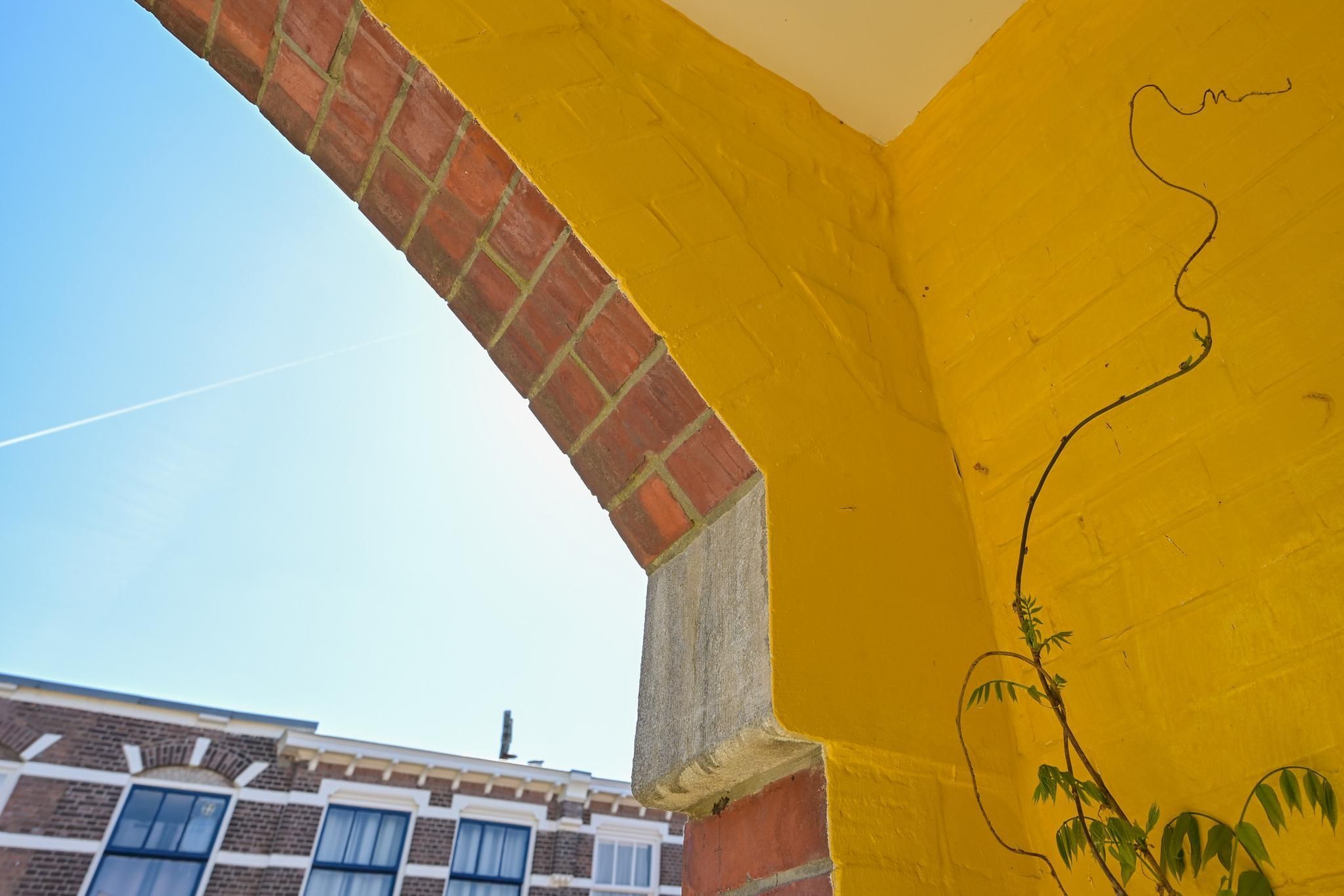 Buijs Ballotstraat 45 Photo Blur 37