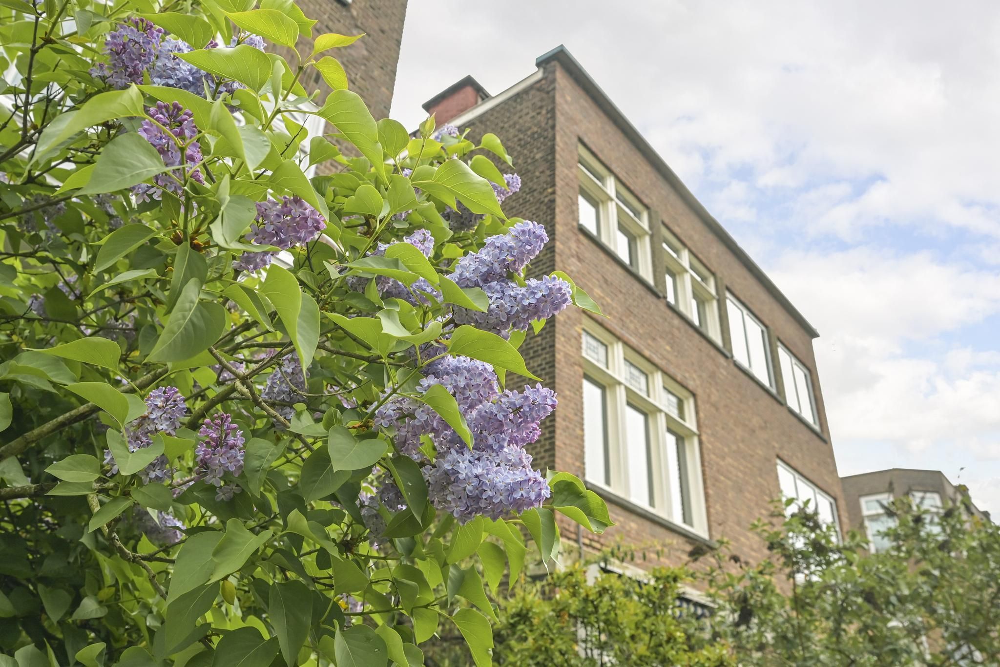 Van Imhoffstraat 54 Photo Blur 24