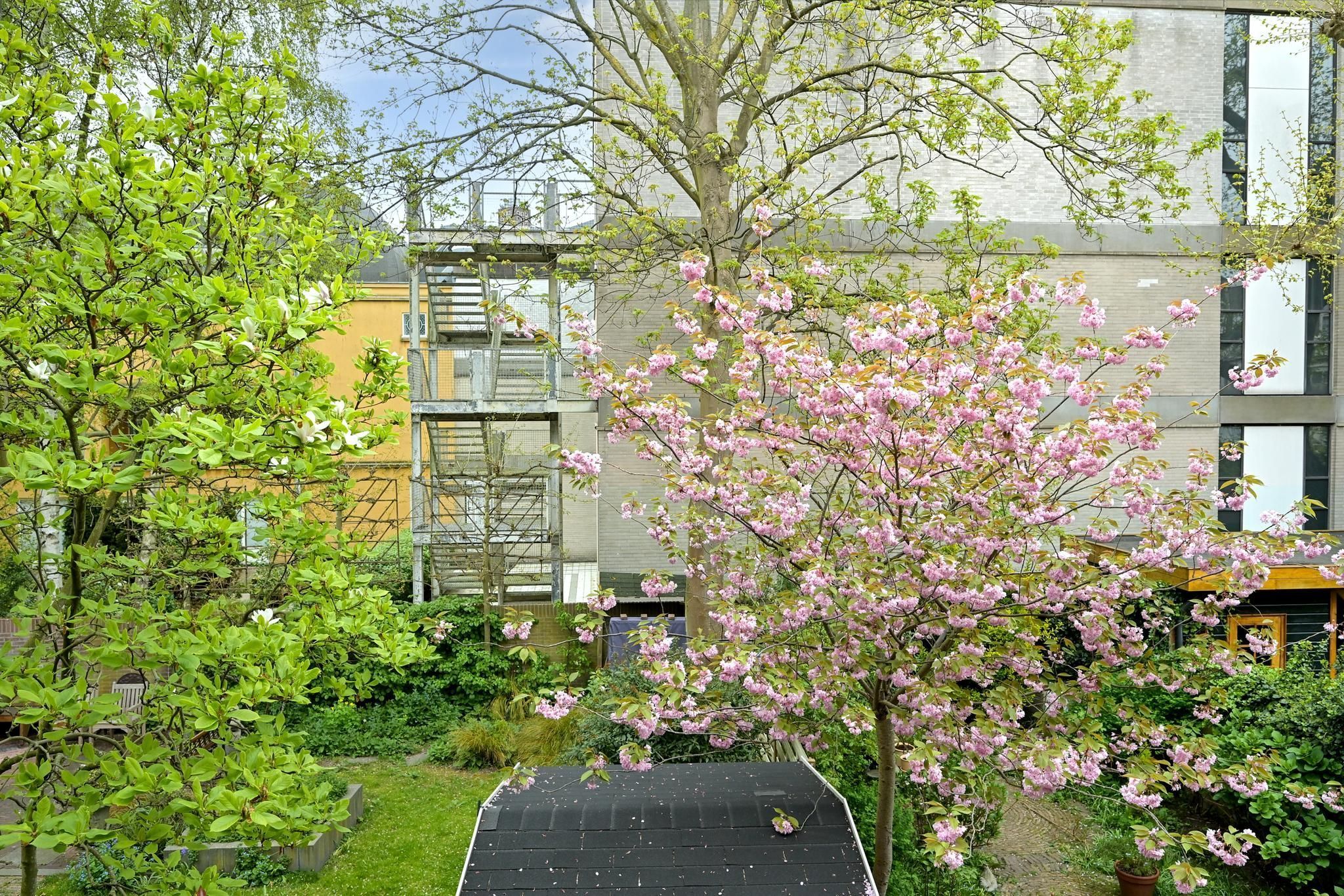 De Ruijterstraat 59-A Photo Blur 14