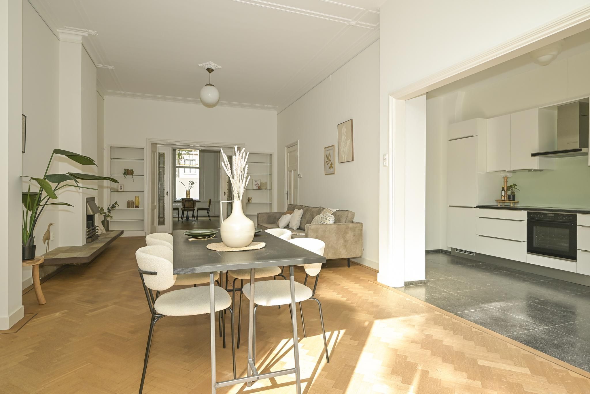 Statenlaan 80 Photo Blur 6