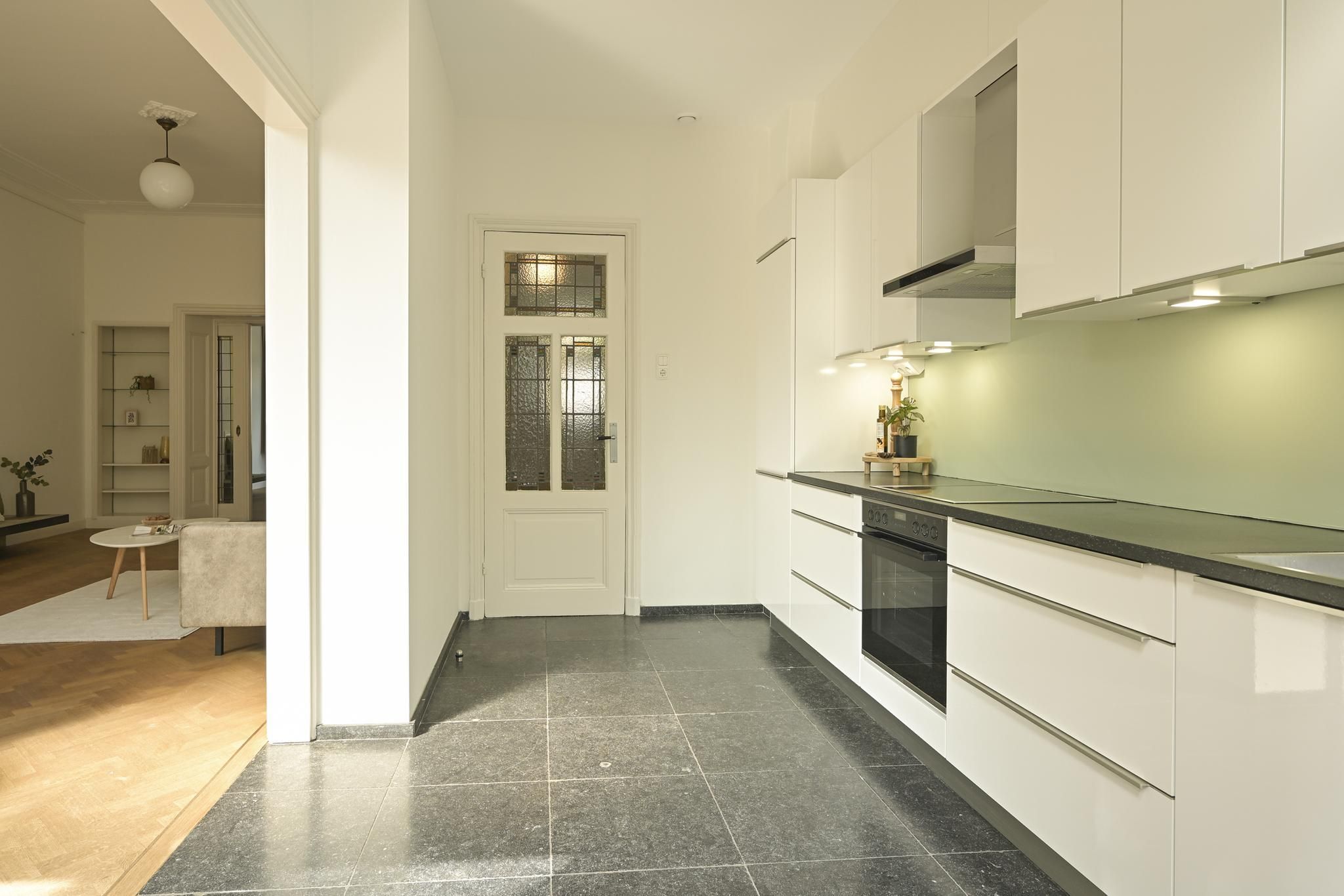 Statenlaan 80 Photo Blur 7