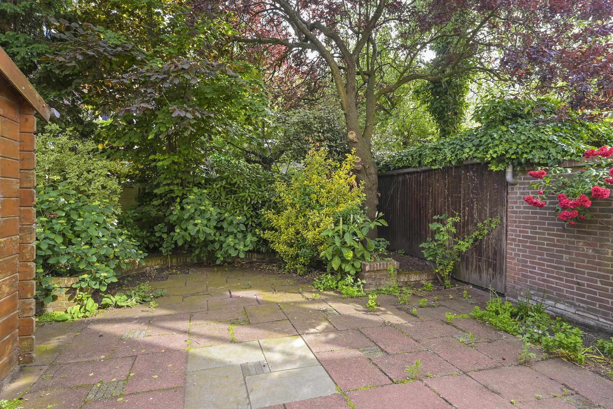 Statenlaan 80 Photo Blur 11