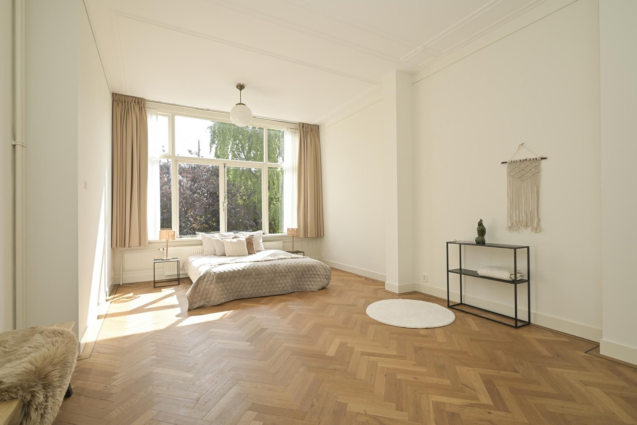 Statenlaan 80 Photo Blur 14