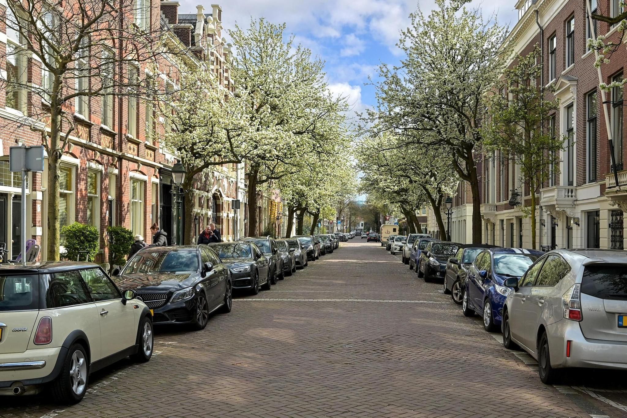 Balistraat 37 Photo Blur 0