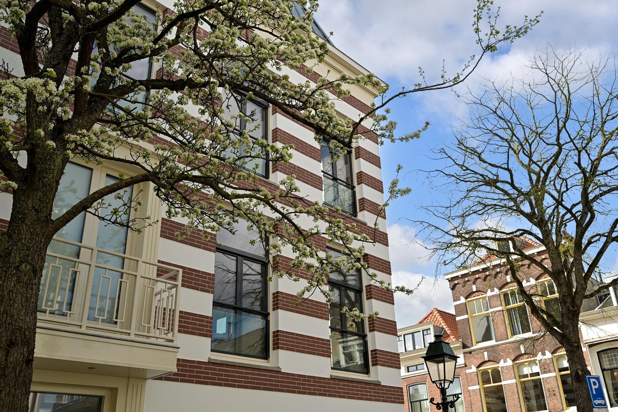 Balistraat 37 Photo Blur 44