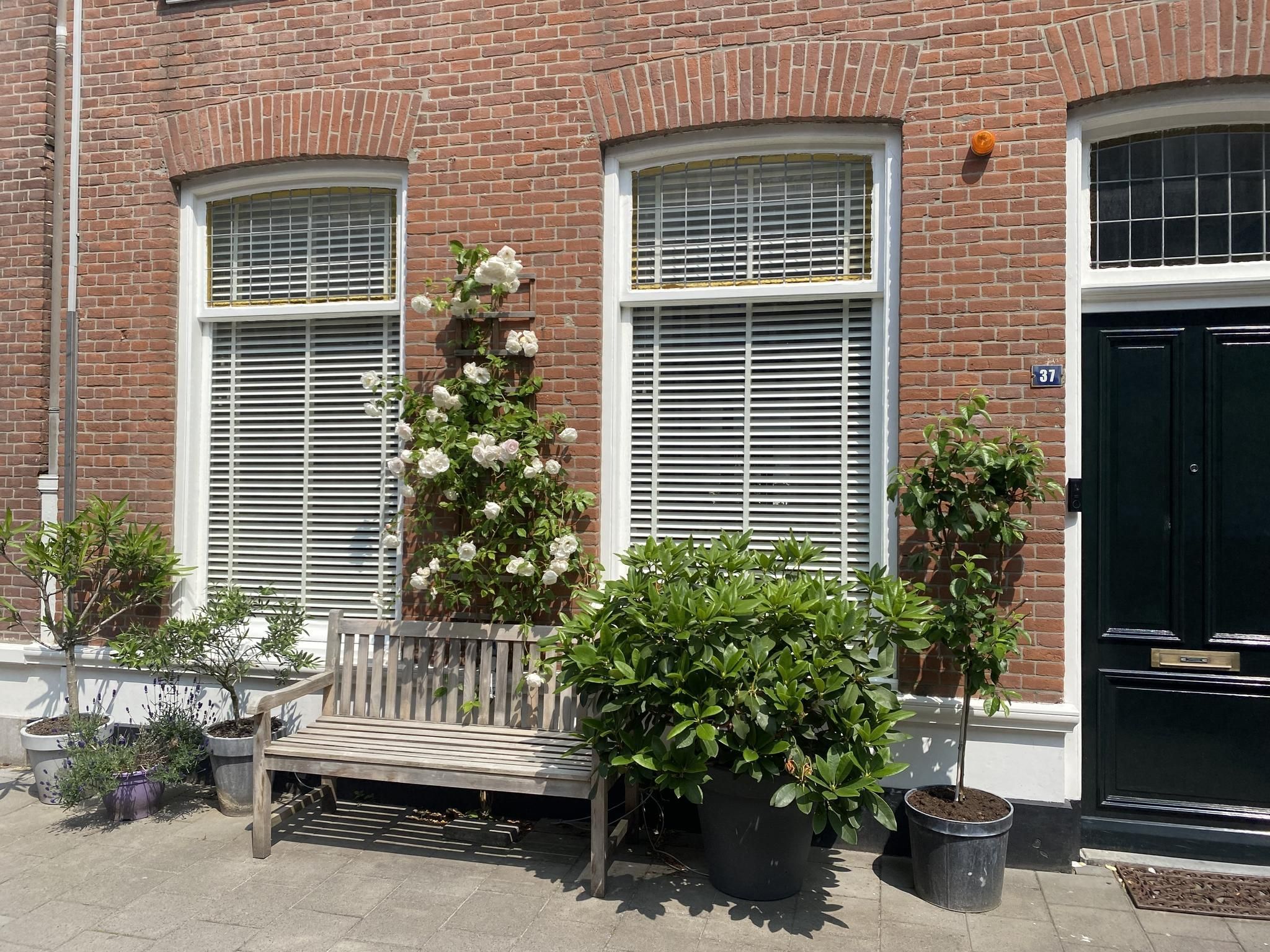 Balistraat 37 Photo Blur 38