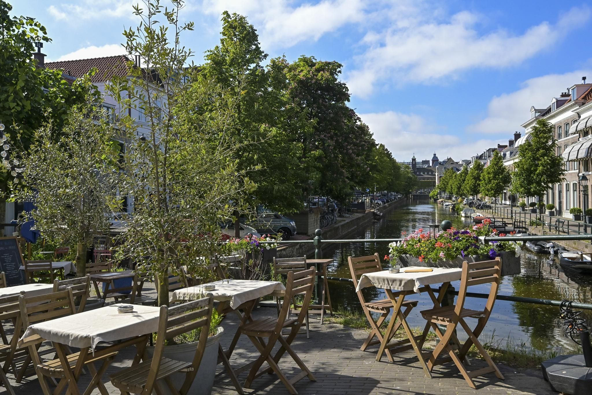 Laan van Roos en Doorn 23-C Photo Blur 19