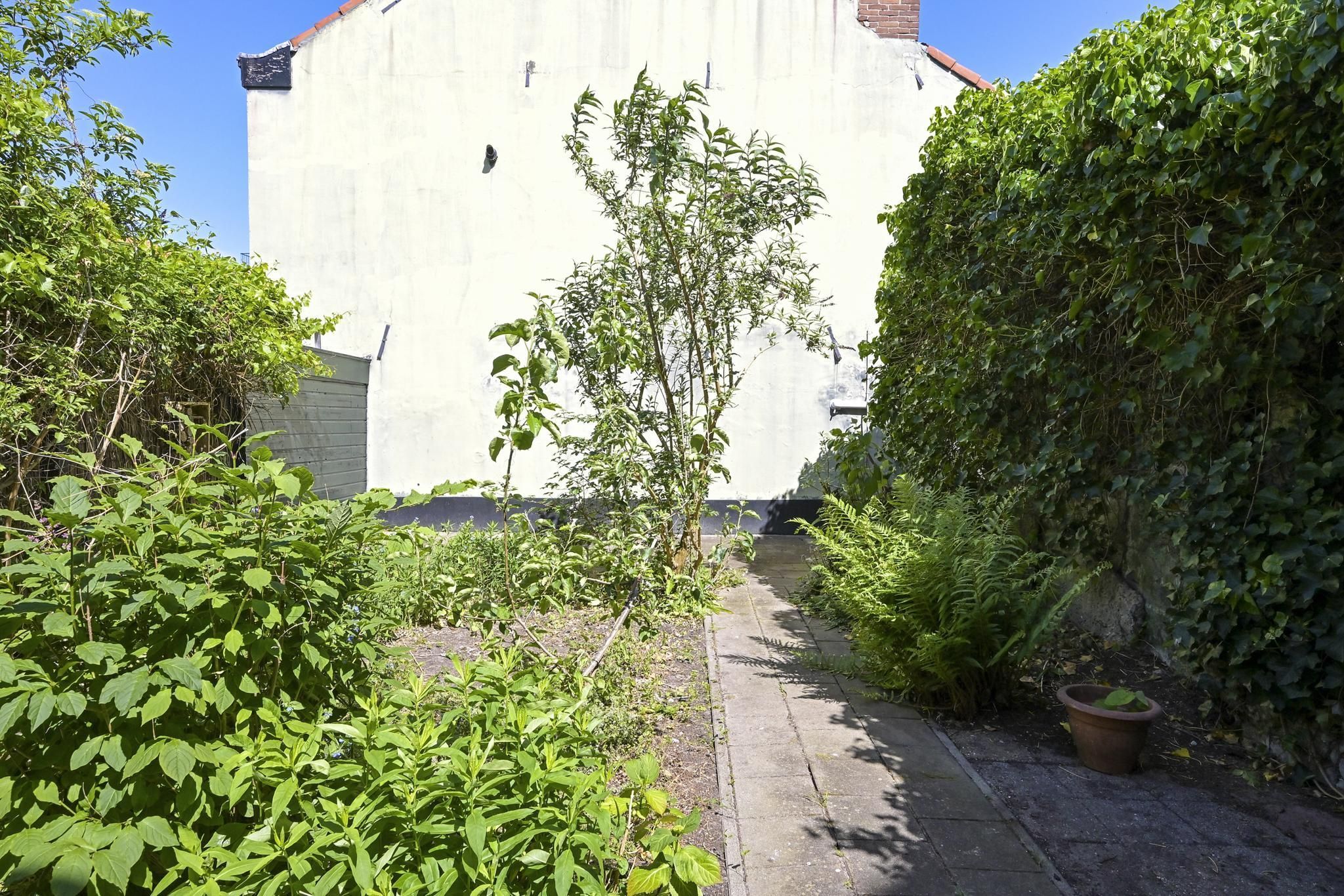 Jacob van der Doesstraat 63 Photo Blur 17