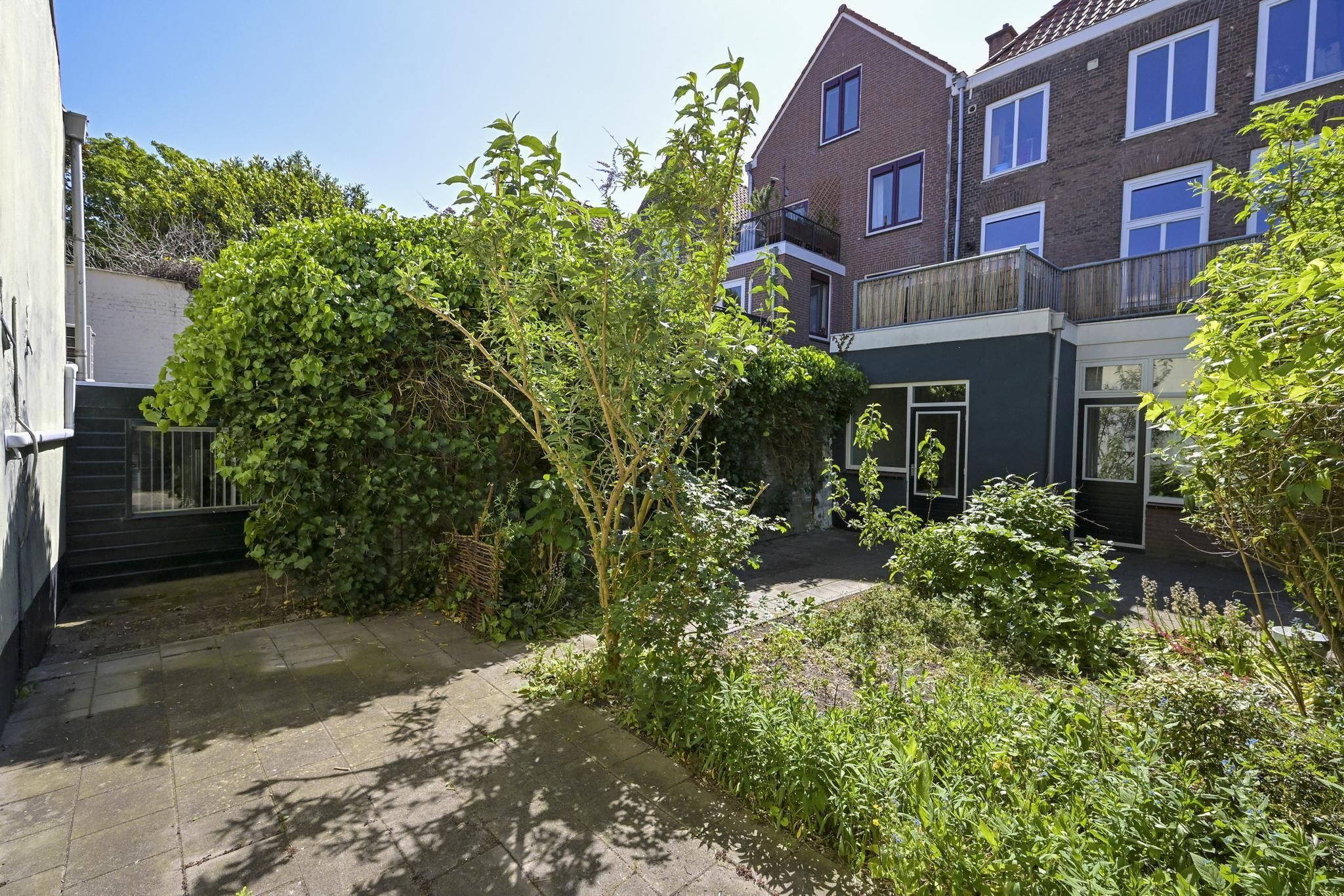 Jacob van der Doesstraat 63 Photo Blur 19