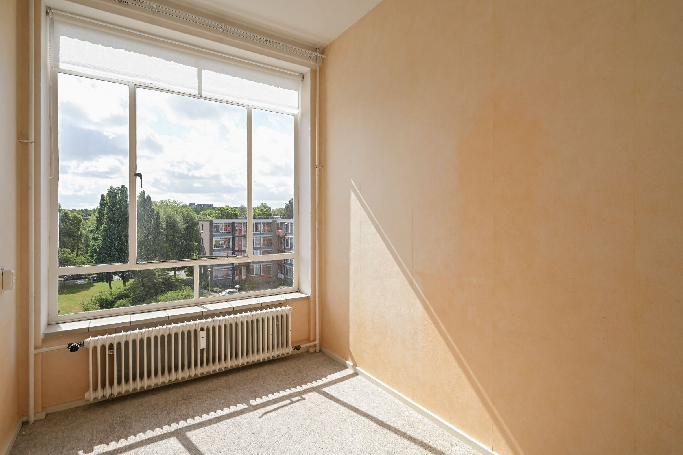 Barnsteenhorst 180 Photo Blur 17