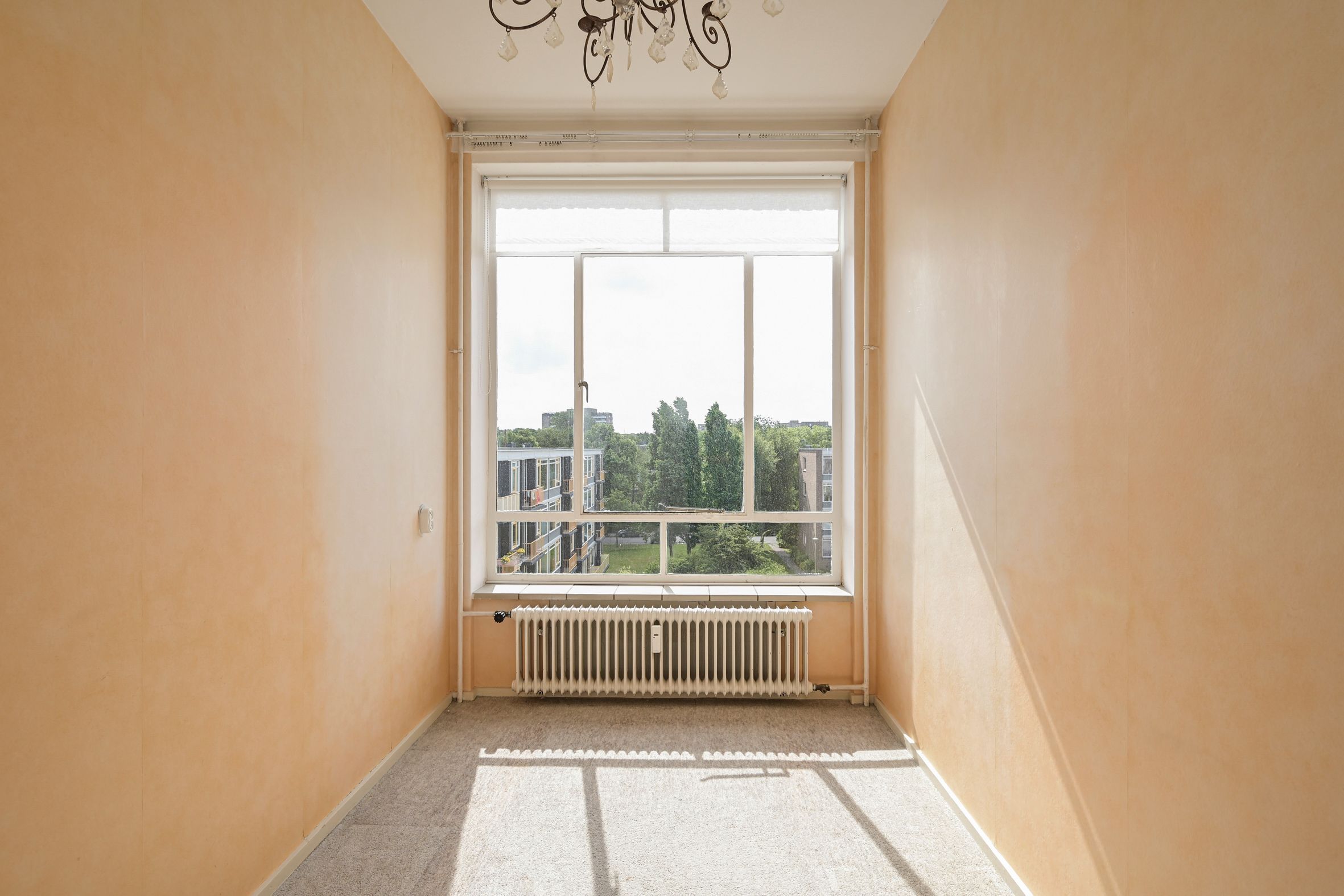 Barnsteenhorst 180 Photo Blur 16