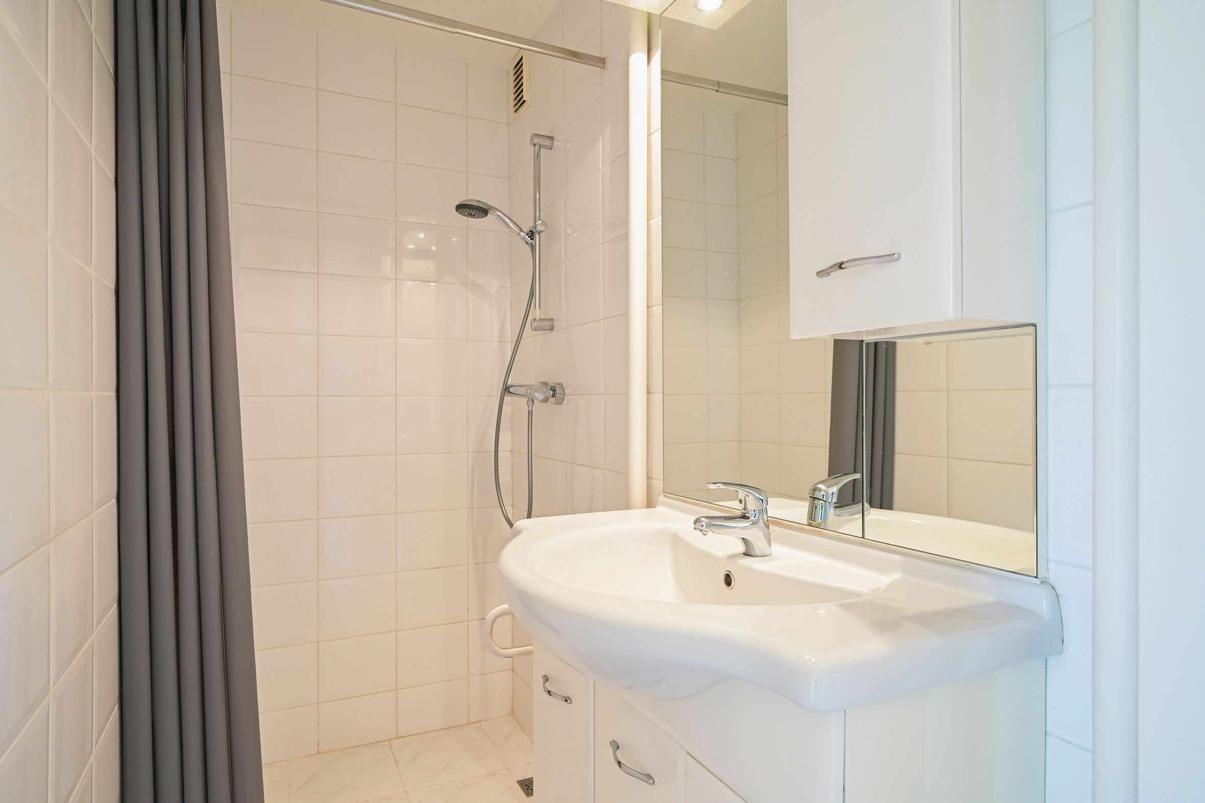 Barnsteenhorst 180 Photo Blur 22