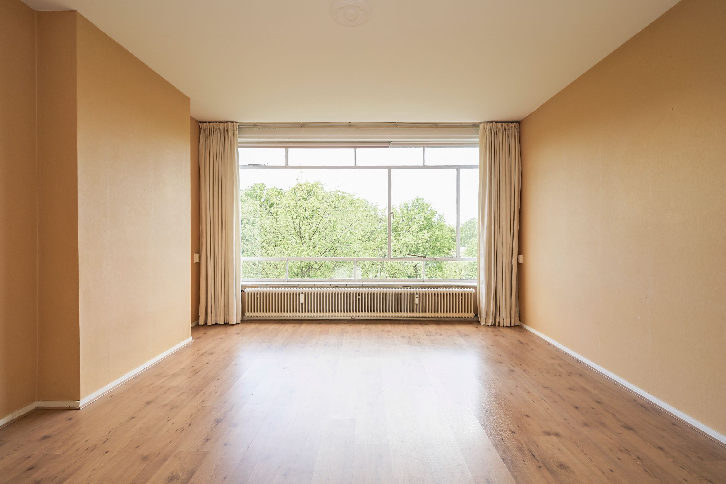 Barnsteenhorst 180 Photo Blur 4