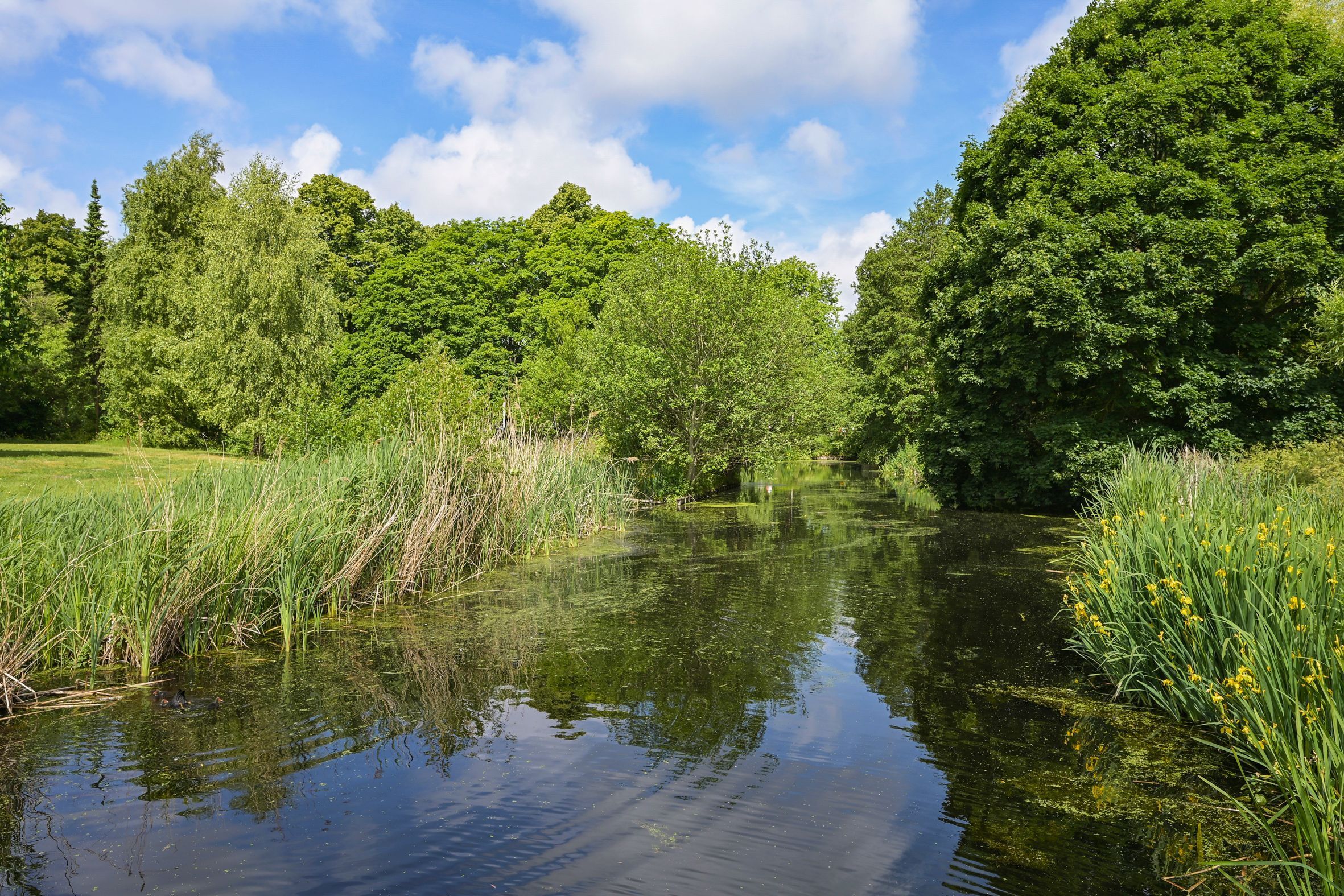 Barnsteenhorst 180 Photo Blur 26