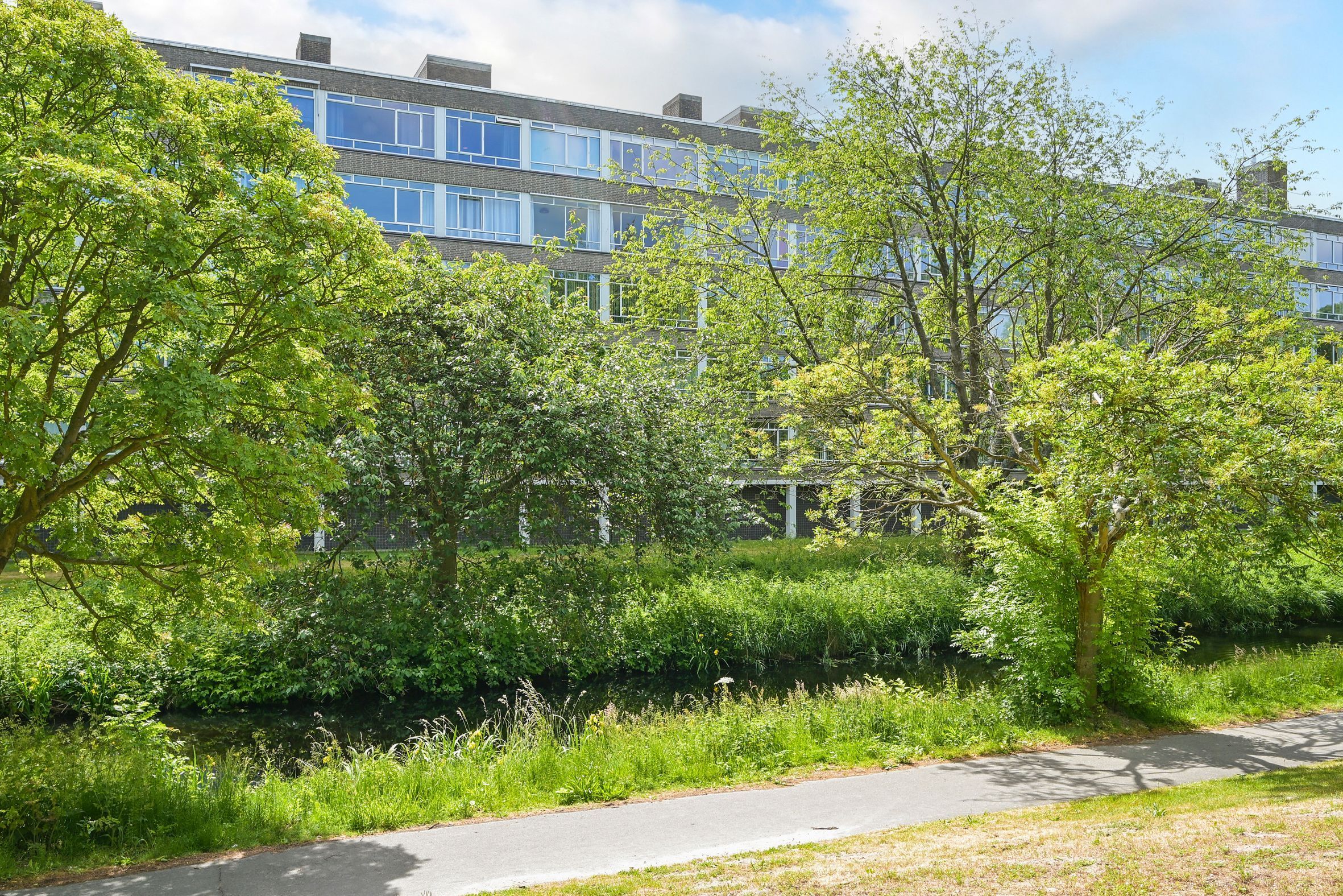 Barnsteenhorst 180 Photo Blur 24