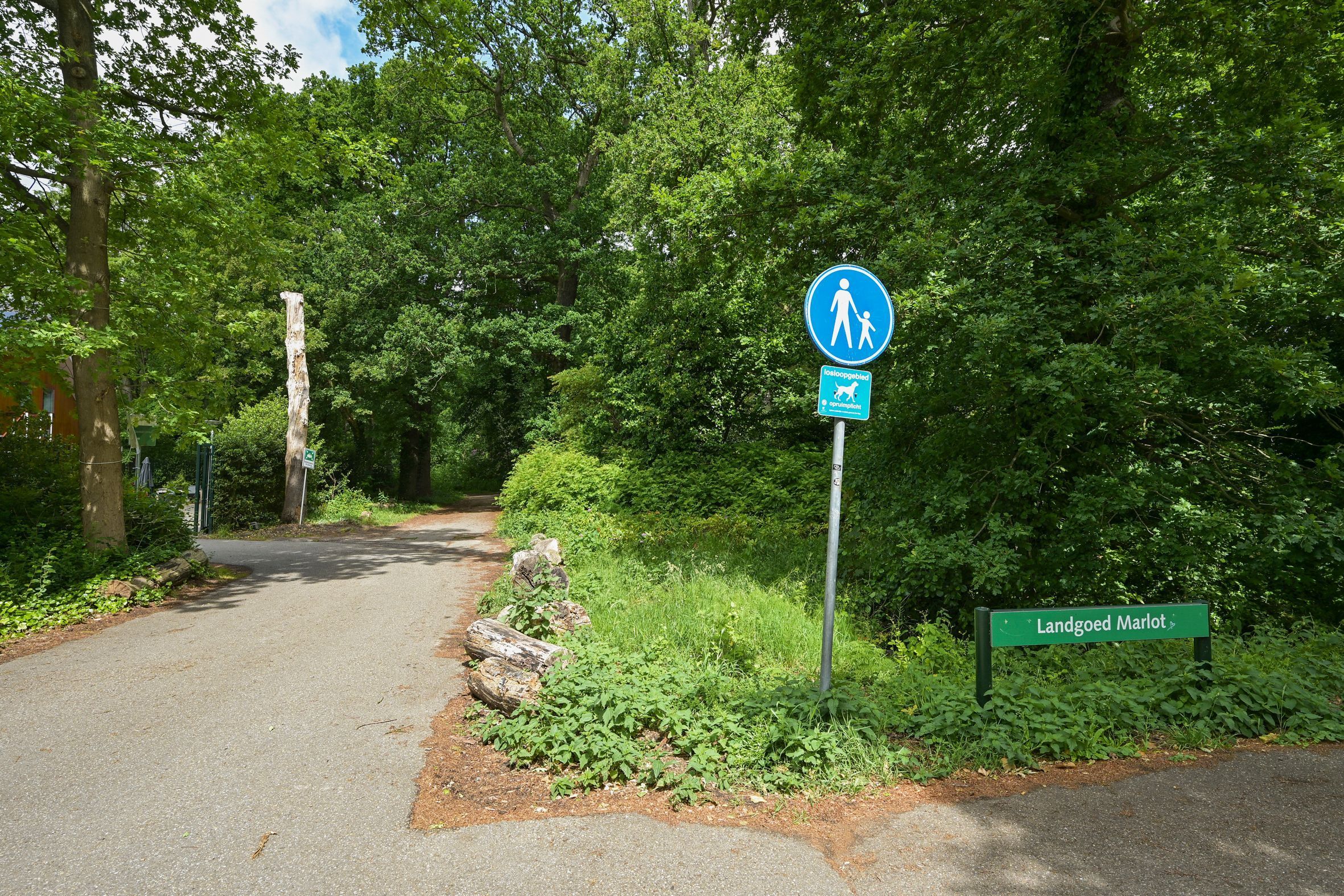 Barnsteenhorst 180 Photo Blur 27