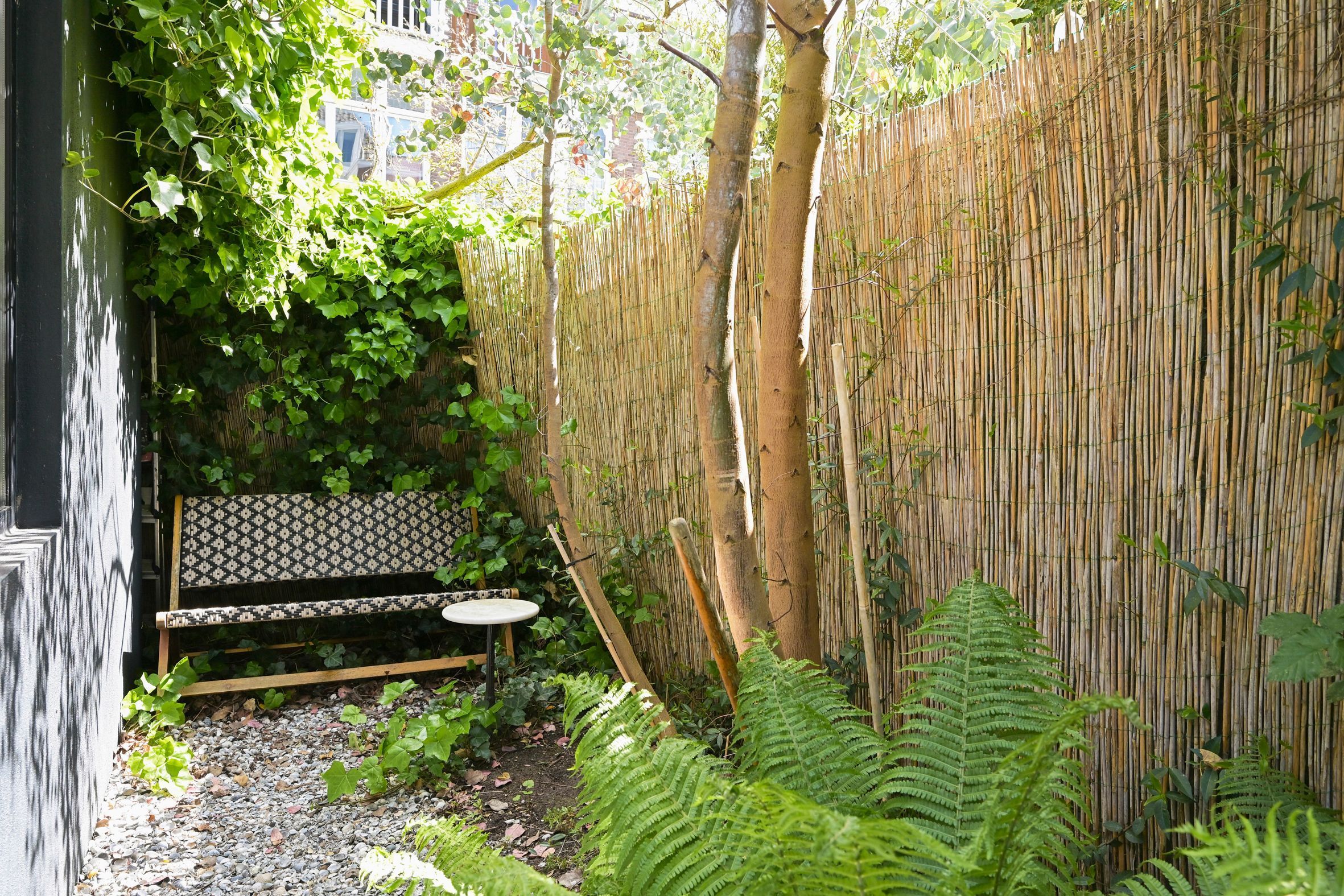 Van Merlenstraat 79 Photo Blur 26