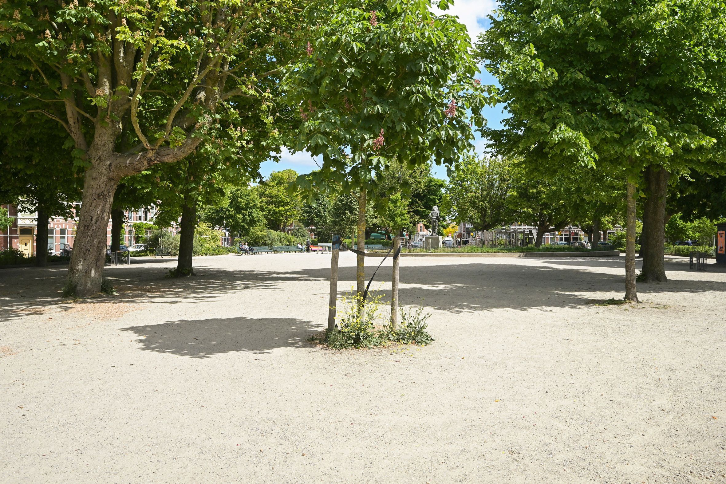 Van Merlenstraat 79 Photo Blur 39