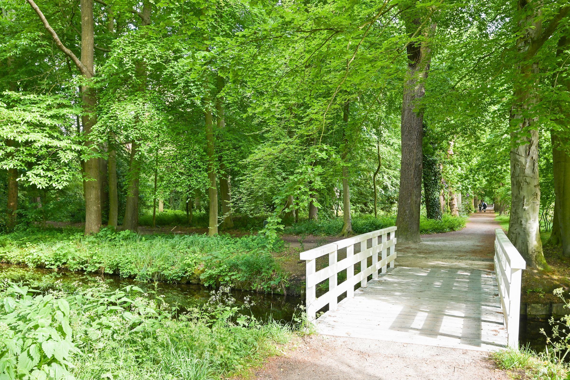 Van Tedingerbrouckstraat 8 Photo Blur 35