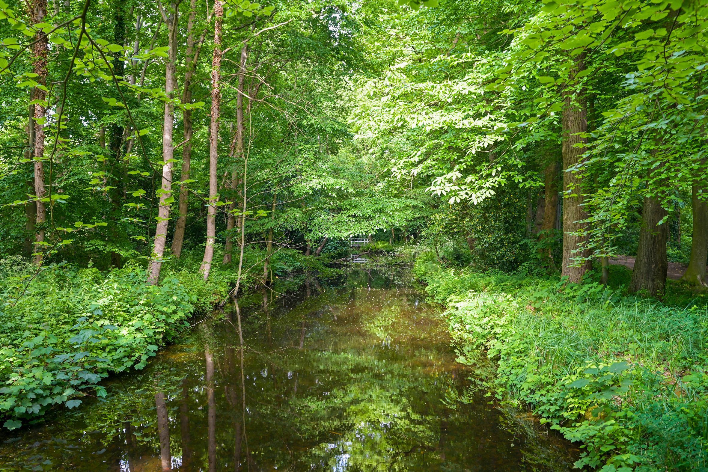 Van Tedingerbrouckstraat 8 Photo Blur 36