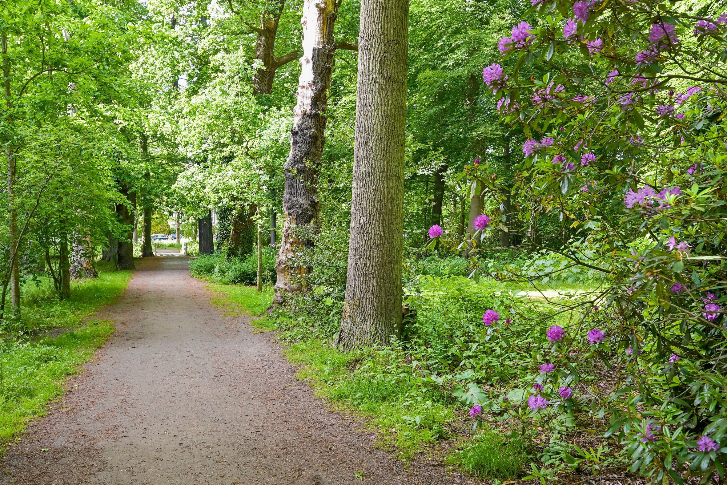 Van Tedingerbrouckstraat 8 Photo Blur 37